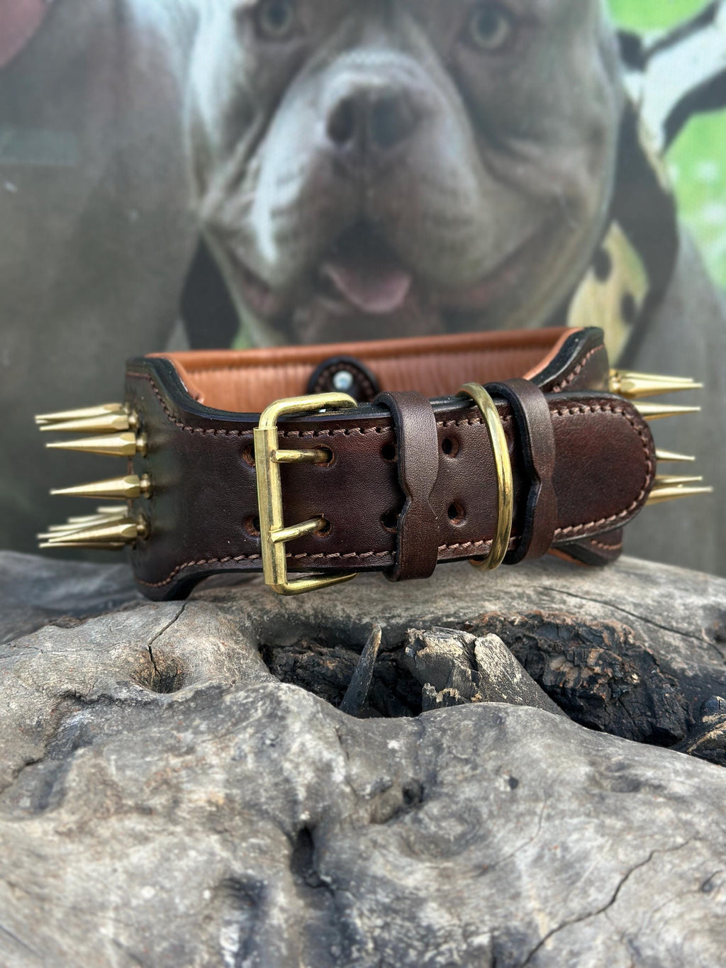 Handcrafted 8 cm Spiked Dog Collar, Personalized Name, for Cane Corso, American Bully, Doberman