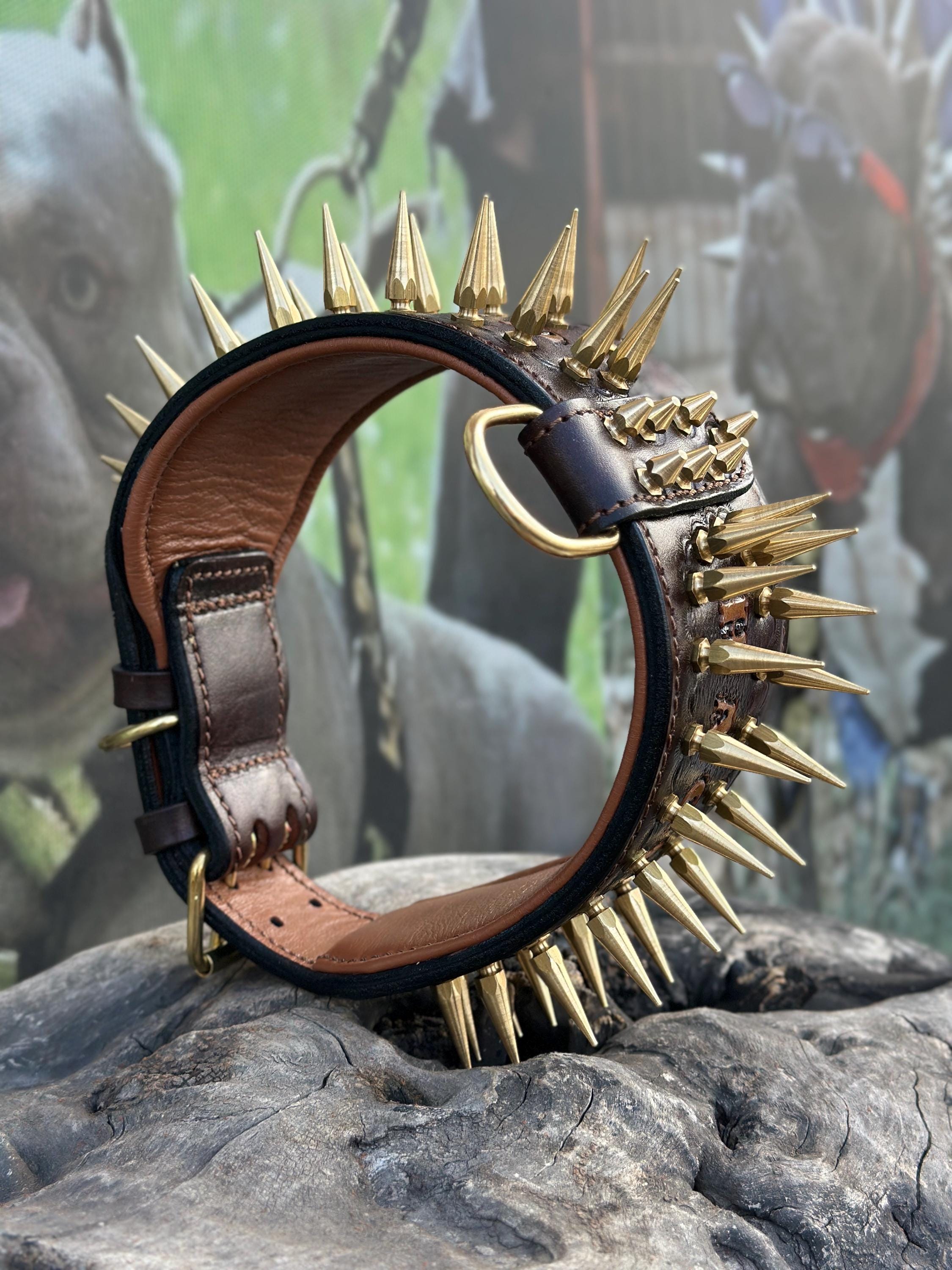 Handcrafted 8 cm Spiked Dog Collar, Personalized Name, for Cane Corso, American Bully, Doberman