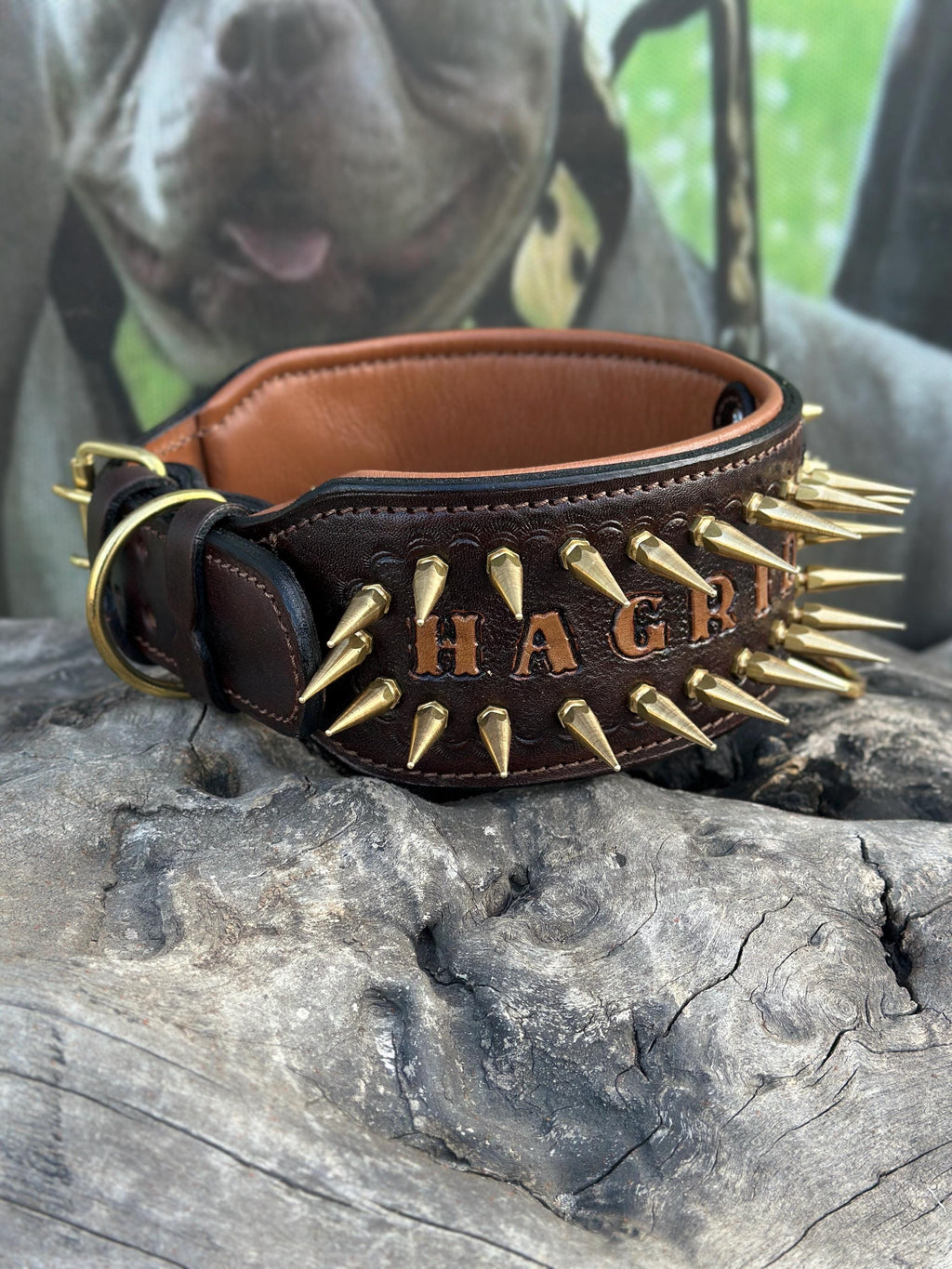 Handcrafted 8 cm Spiked Dog Collar, Personalized Name, for Cane Corso, American Bully, Doberman