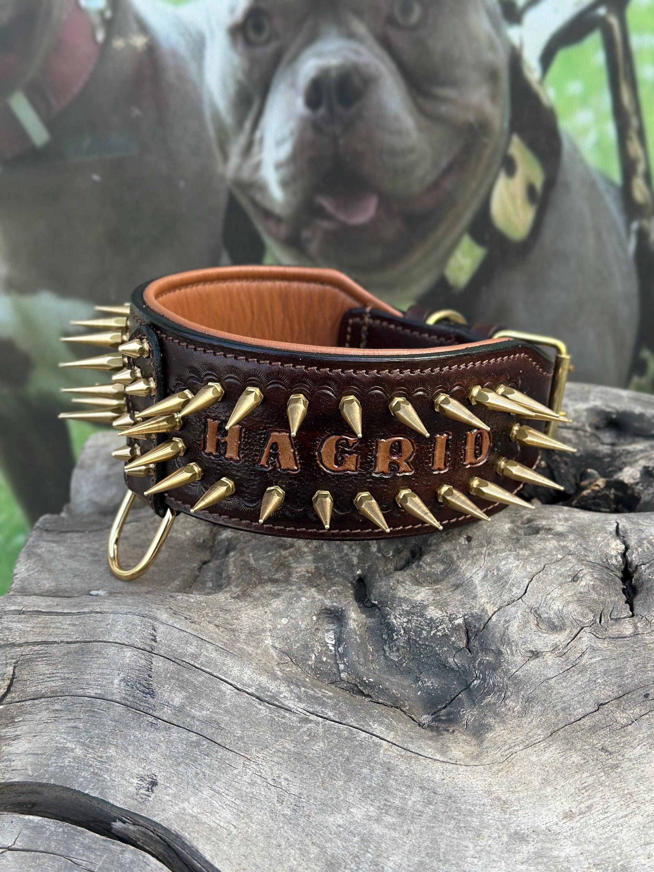 Handcrafted 8 cm Spiked Dog Collar, Personalized Name, for Cane Corso, American Bully, Doberman