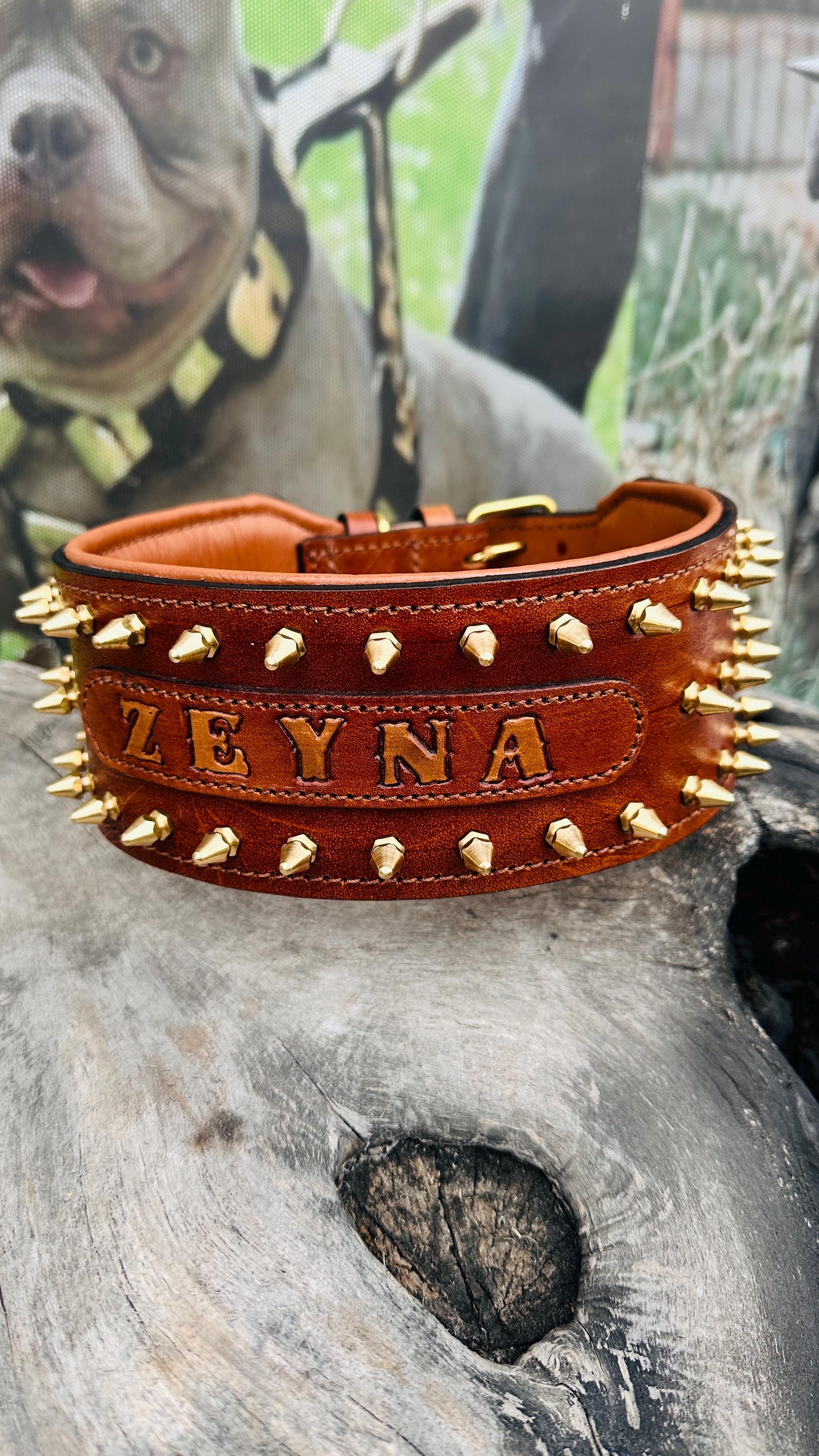 Custom Leather Spiked Dog Collar: Engraved Name, Wide Handmade Collar