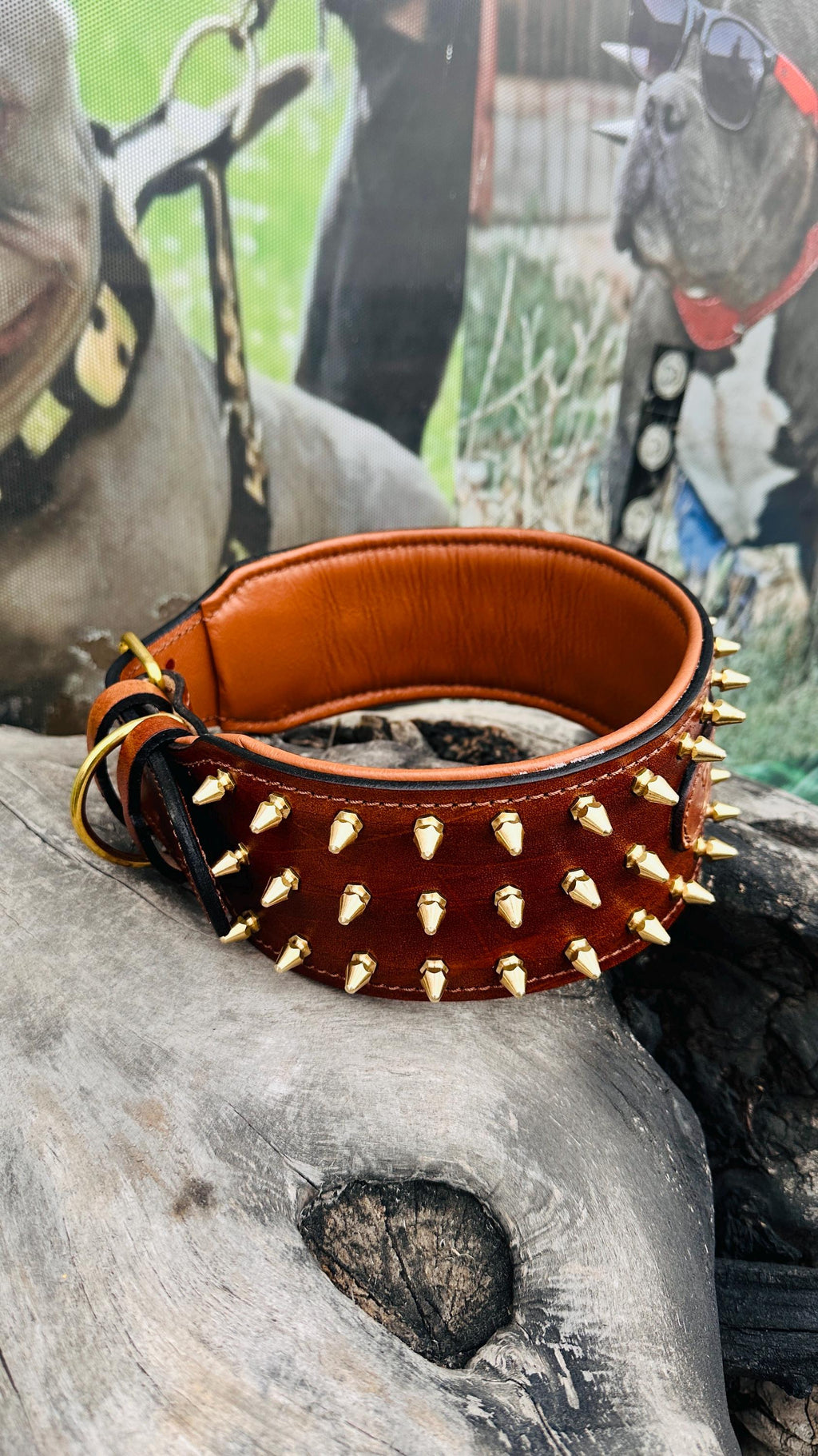 Custom Leather Spiked Dog Collar: Engraved Name, Wide Handmade Collar