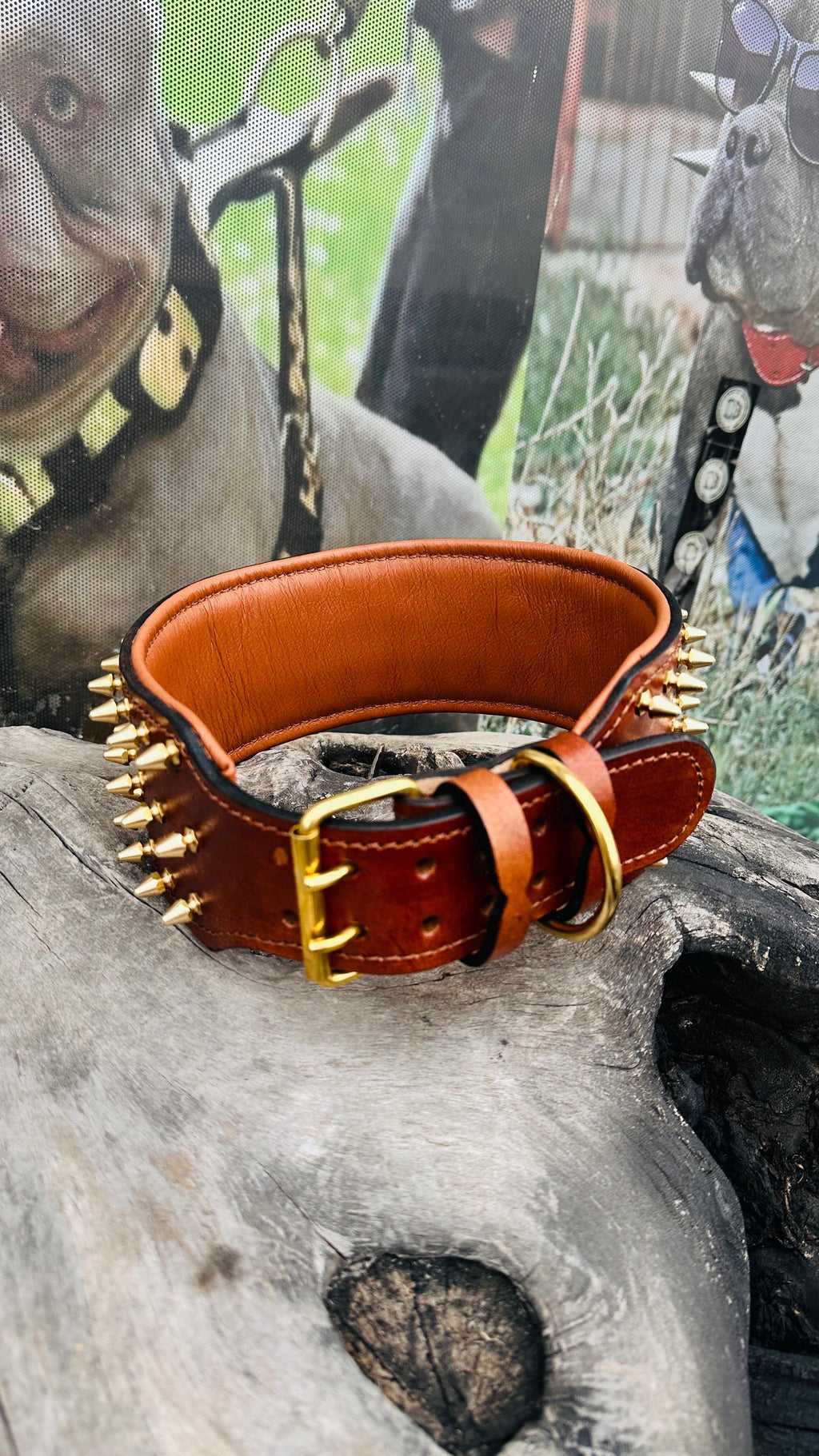 Custom Leather Spiked Dog Collar: Engraved Name, Wide Handmade Collar