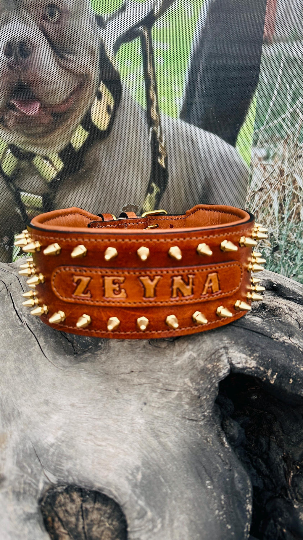 Custom Leather Spiked Dog Collar: Engraved Name, Wide Handmade Collar