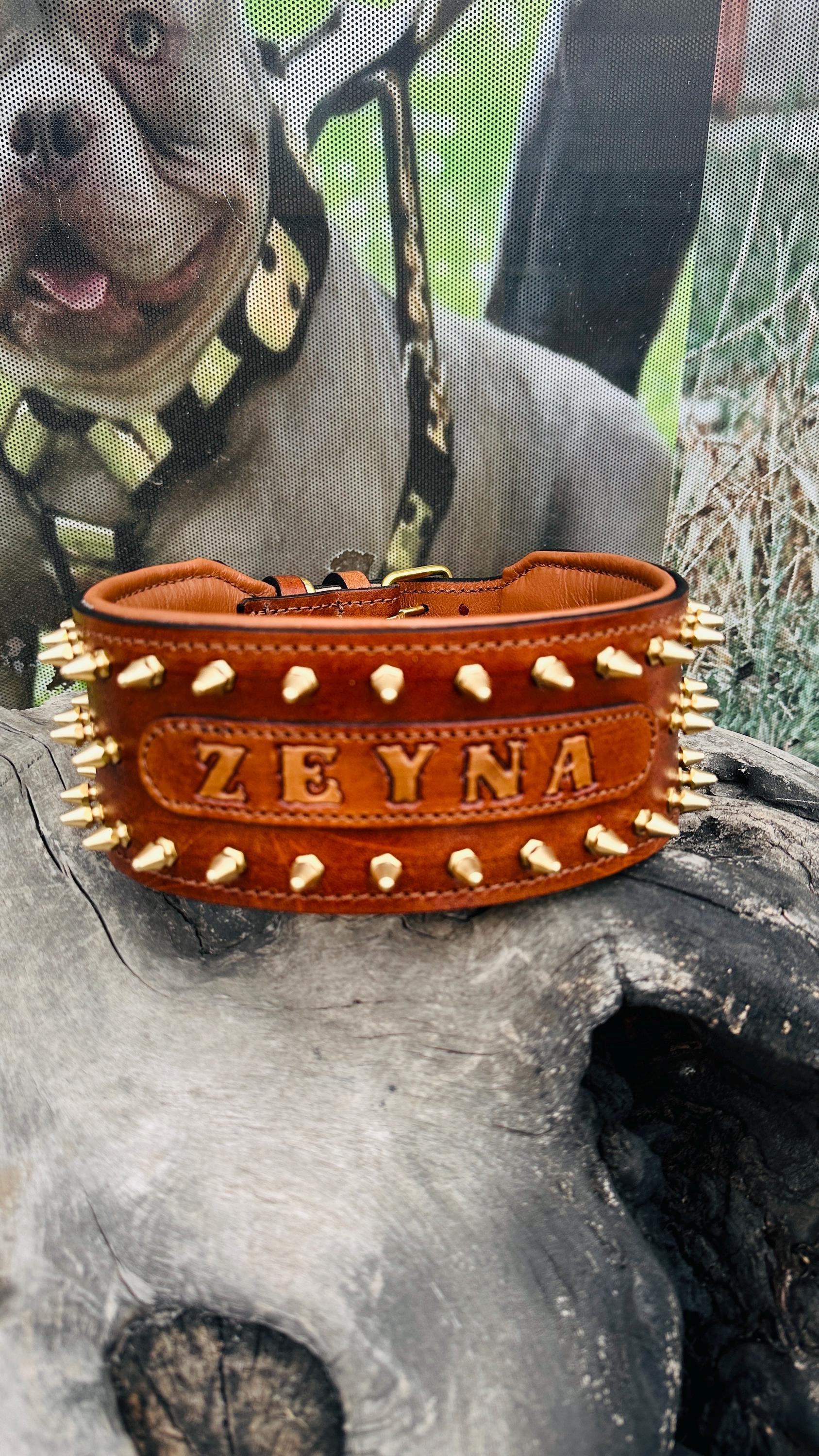 Custom Leather Spiked Dog Collar: Engraved Name, Wide Handmade Collar