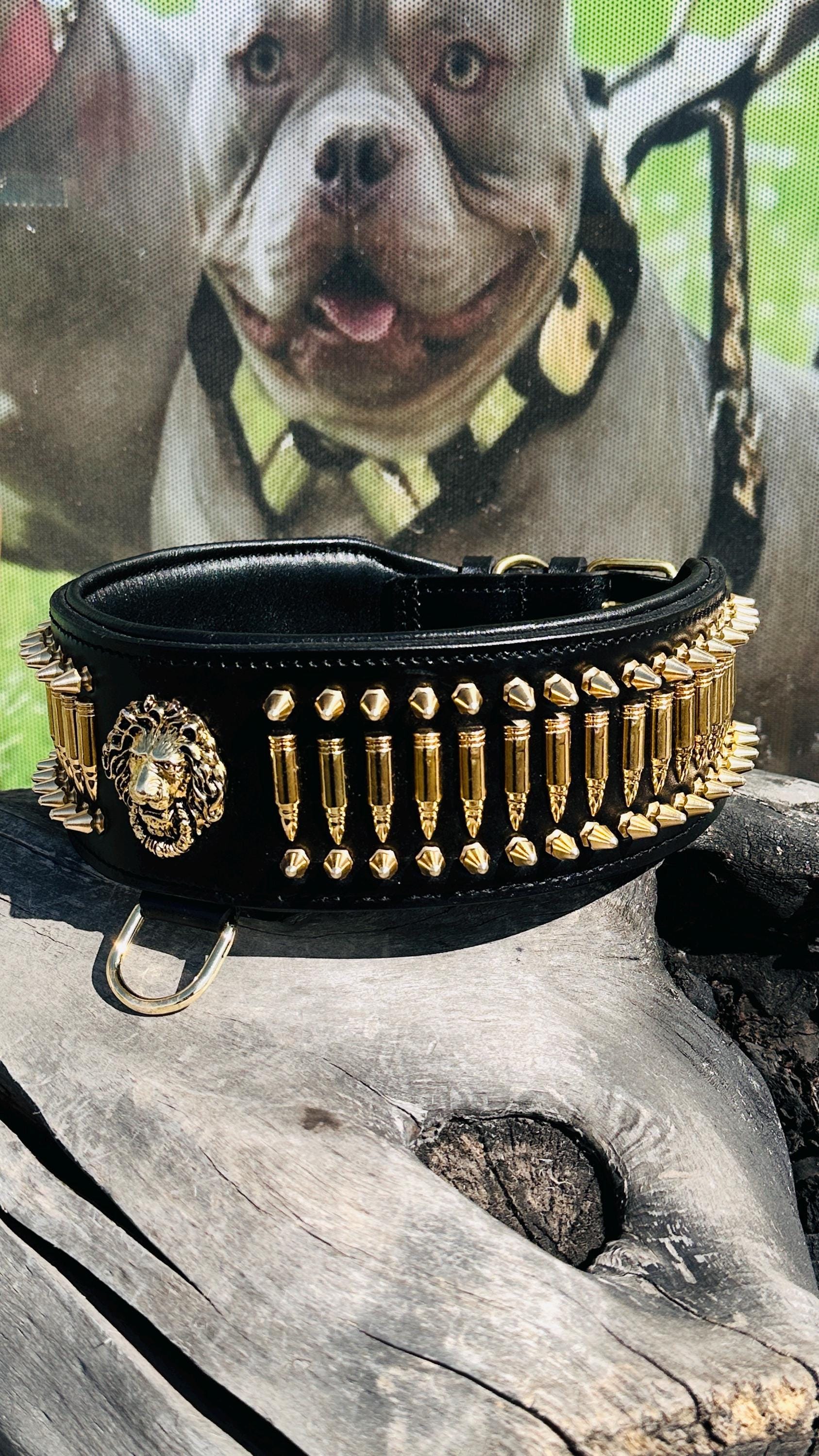 8cm Wide(3,15 inhes)  Leather Dog Collar – Handmade Dog Collar with Bullet Studs & Lion Logo – Kangal, Cane Corso, Rottweiler, Presa Canario