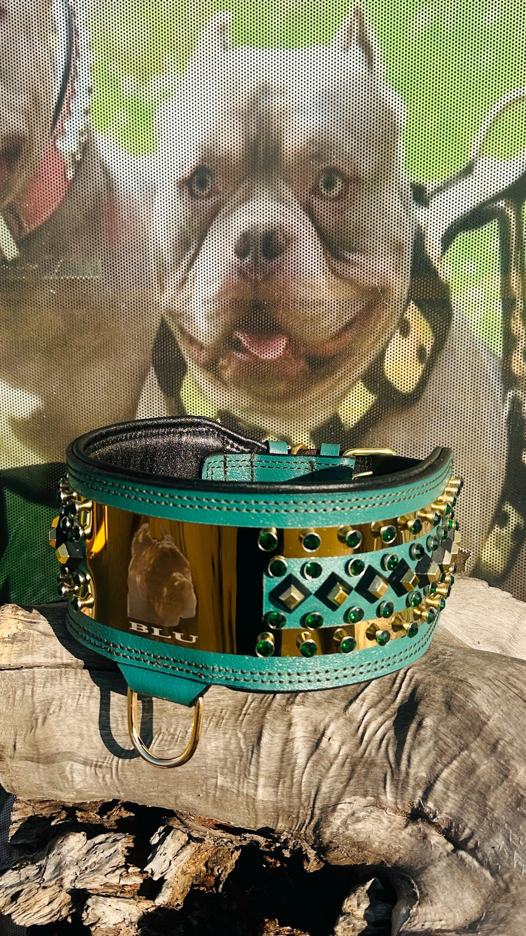 Custom Leather Dog Collar: Laser Engraved Photo, Crystal Accents