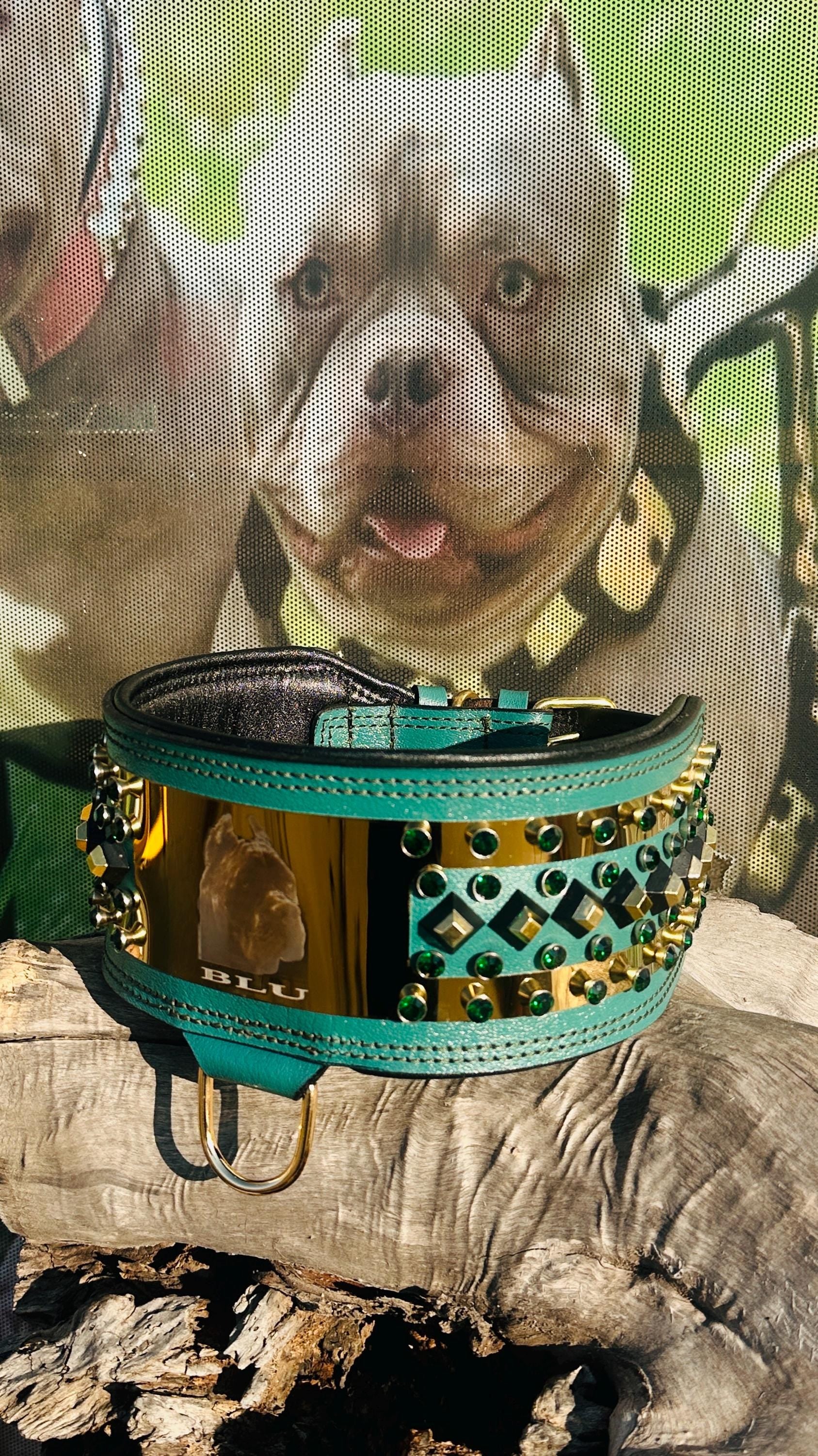 Custom Leather Dog Collar: Laser Engraved Photo, Crystal Accents
