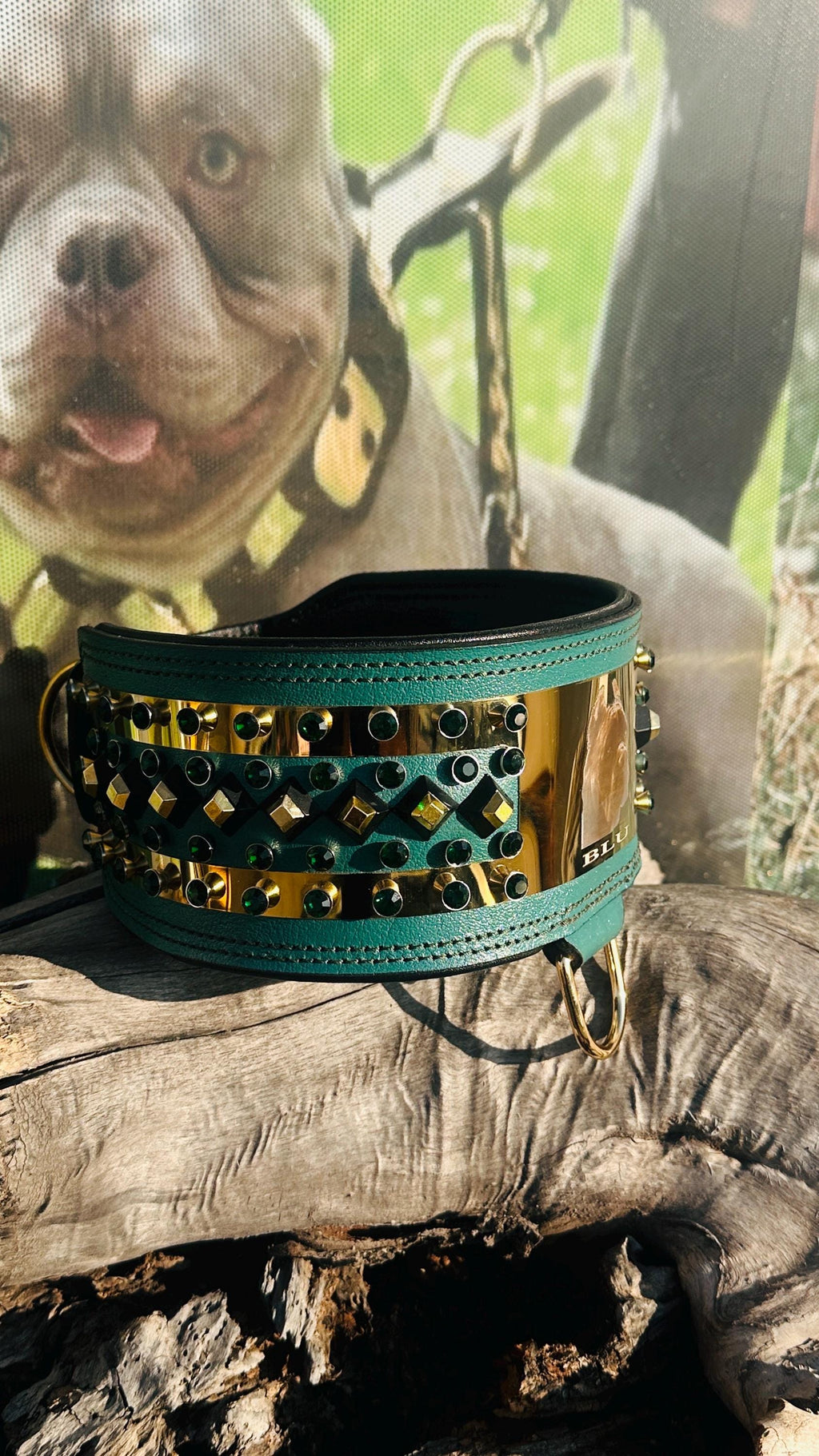 Custom Leather Dog Collar: Laser Engraved Photo, Crystal Accents