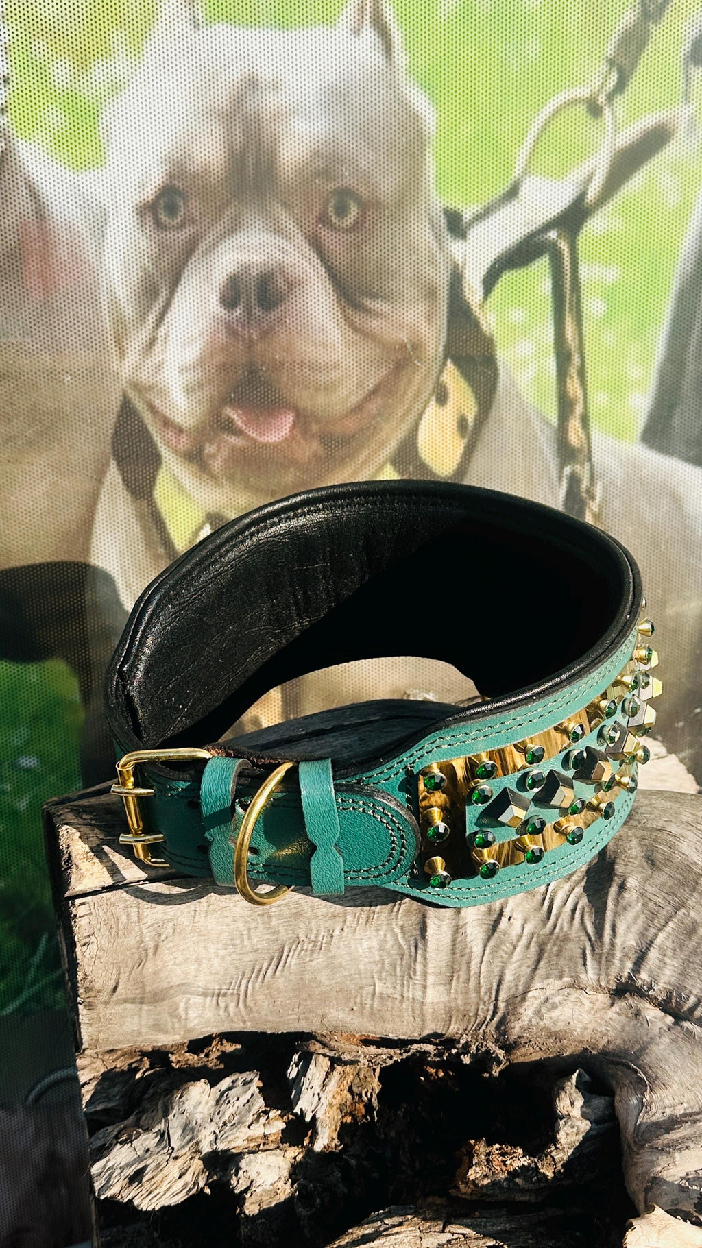 Custom Leather Dog Collar: Laser Engraved Photo, Crystal Accents