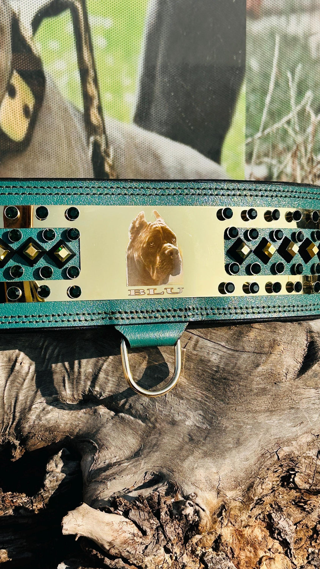 Custom Leather Dog Collar: Laser Engraved Photo, Crystal Accents