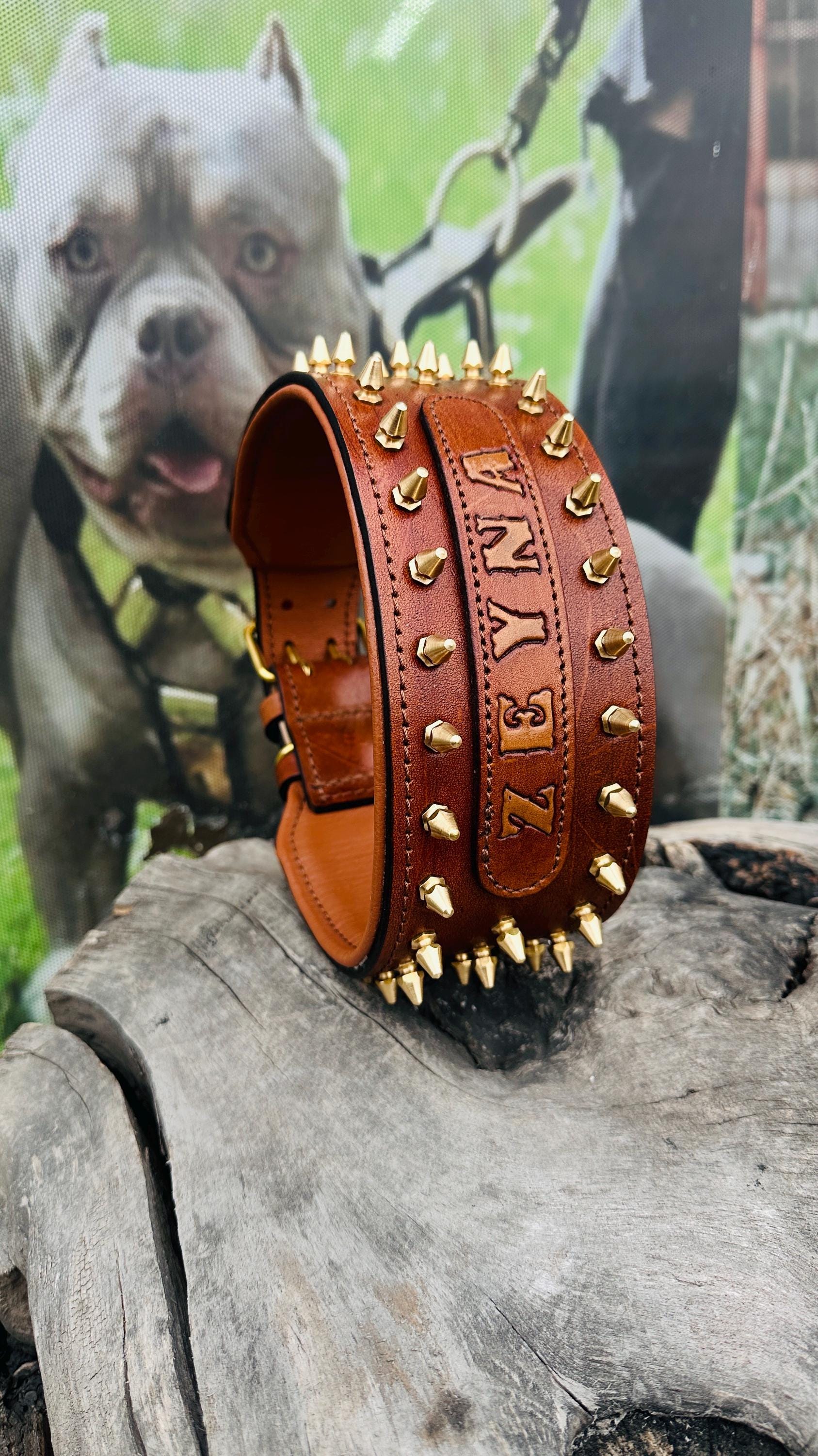 Custom Leather Spiked Dog Collar: Engraved Name, Wide Handmade Collar