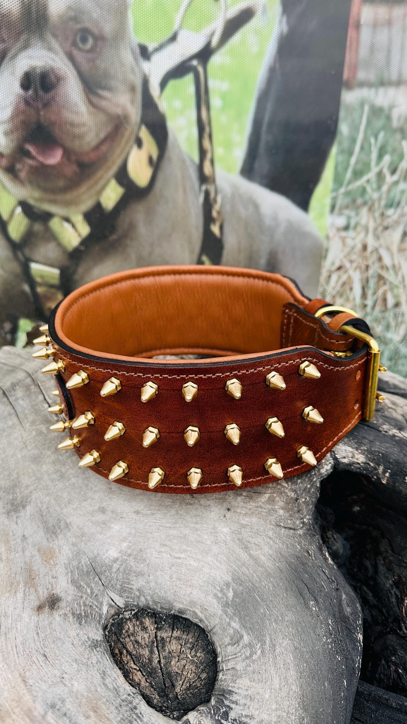 Custom Leather Spiked Dog Collar: Engraved Name, Wide Handmade Collar