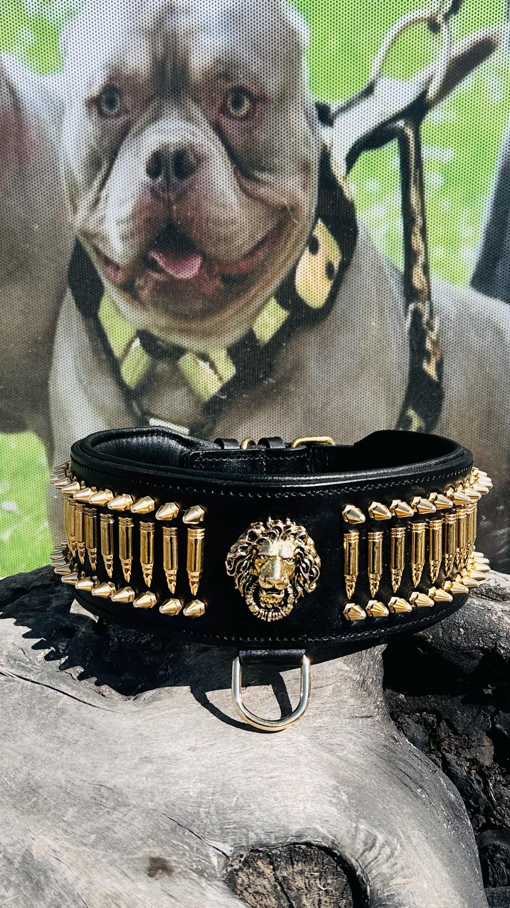 8cm Wide(3,15 inhes)  Leather Dog Collar – Handmade Dog Collar with Bullet Studs & Lion Logo – Kangal, Cane Corso, Rottweiler, Presa Canario