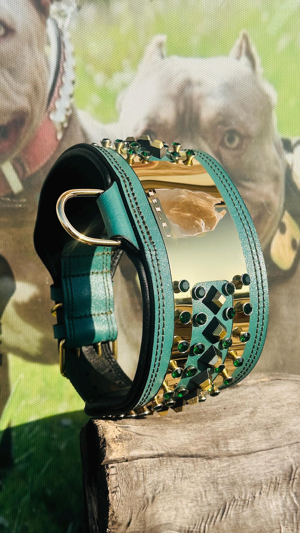 Custom Leather Dog Collar: Laser Engraved Photo, Crystal Accents