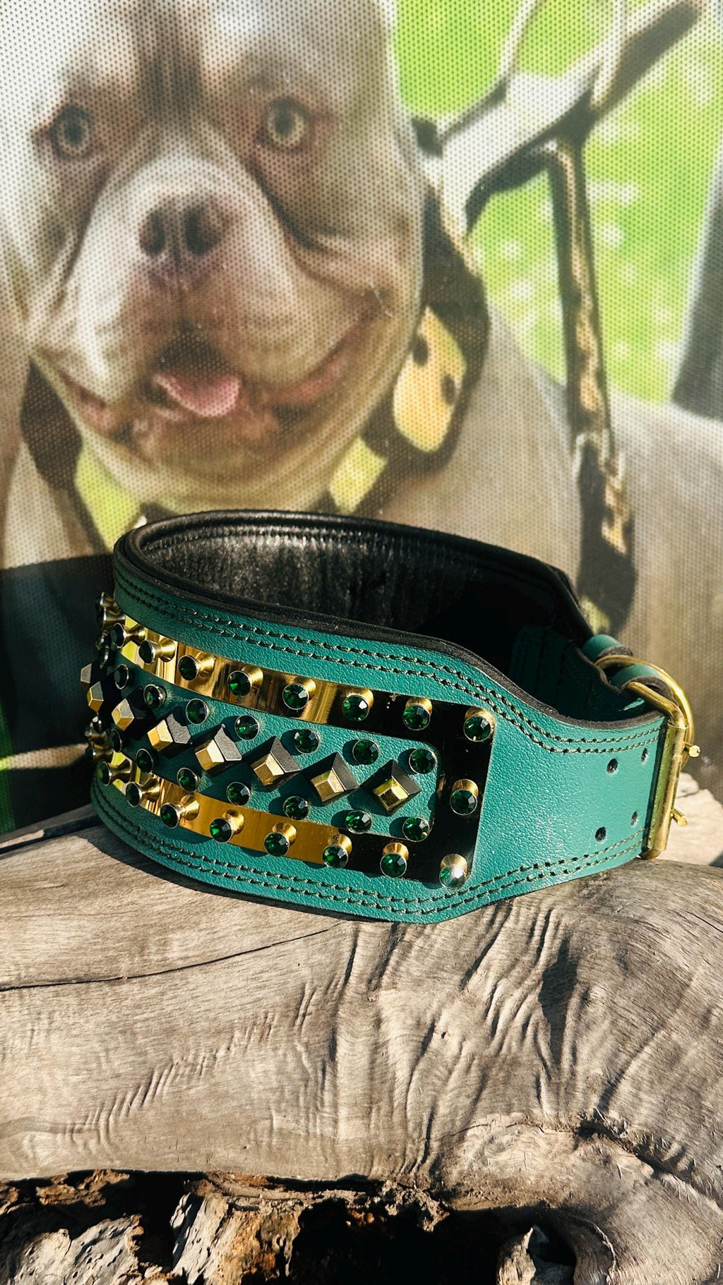 Custom Leather Dog Collar: Laser Engraved Photo, Crystal Accents