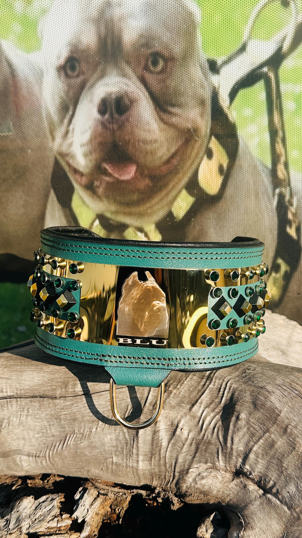 Custom Leather Dog Collar: Laser Engraved Photo, Crystal Accents