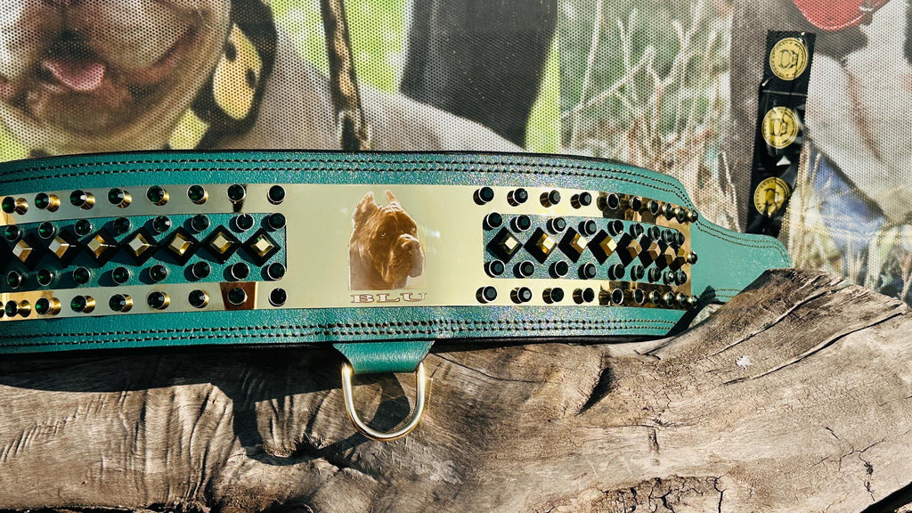 Custom Leather Dog Collar: Laser Engraved Photo, Crystal Accents
