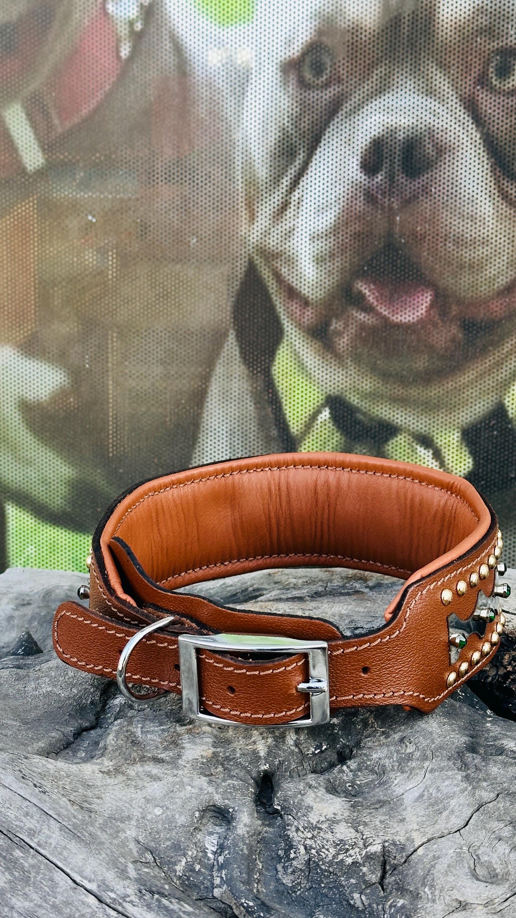 Handcrafted Leather Dog Collar with Sparkling Crystals – Elegant and Durable
