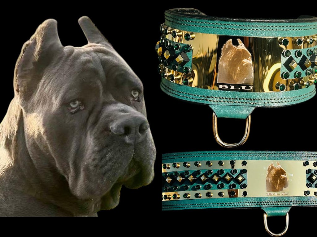 Custom Leather Dog Collar: Laser Engraved Photo, Crystal Accents