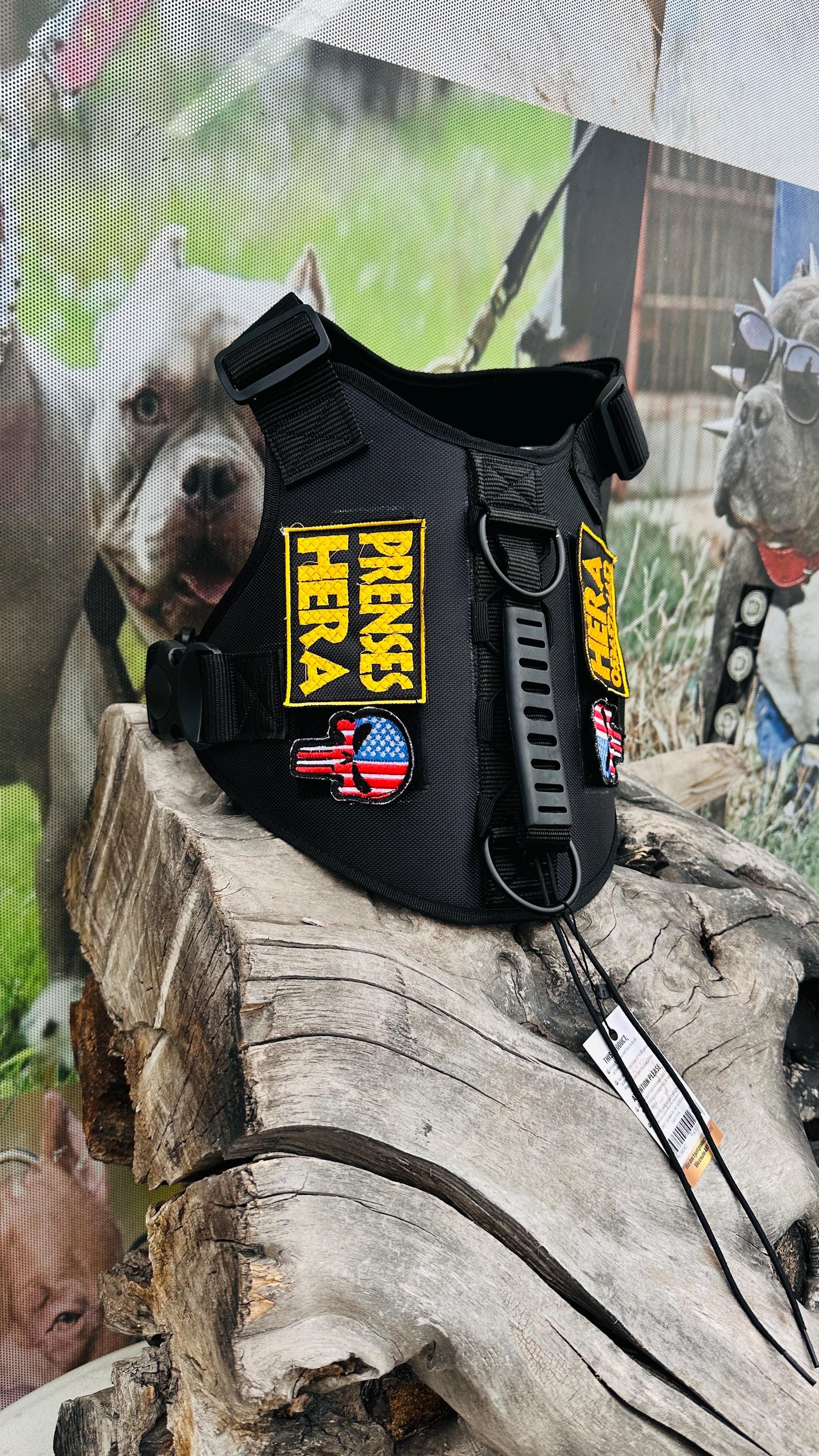Custom Embroidered Tactical Dog Harness Set: Heavy Duty Nylon, Leash Included