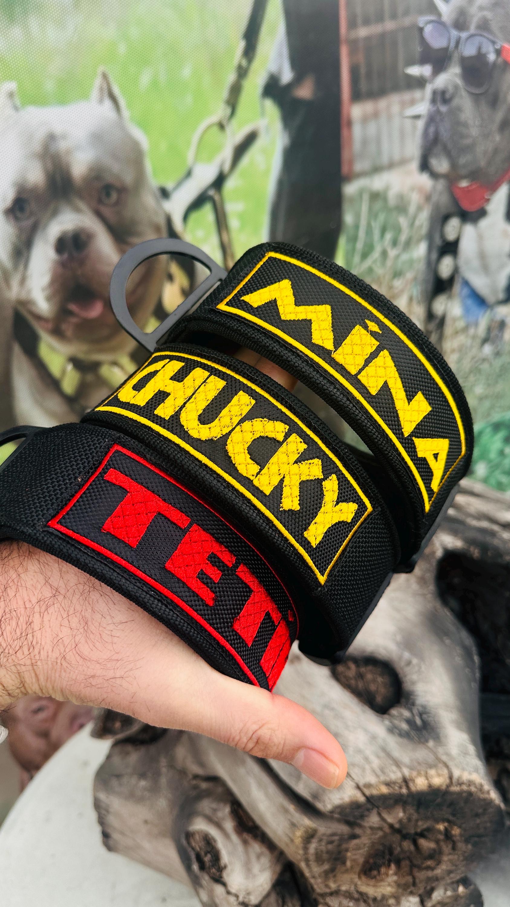 Custom Embroidered Tactical Dog Harness Set: Heavy Duty Nylon, Leash Included