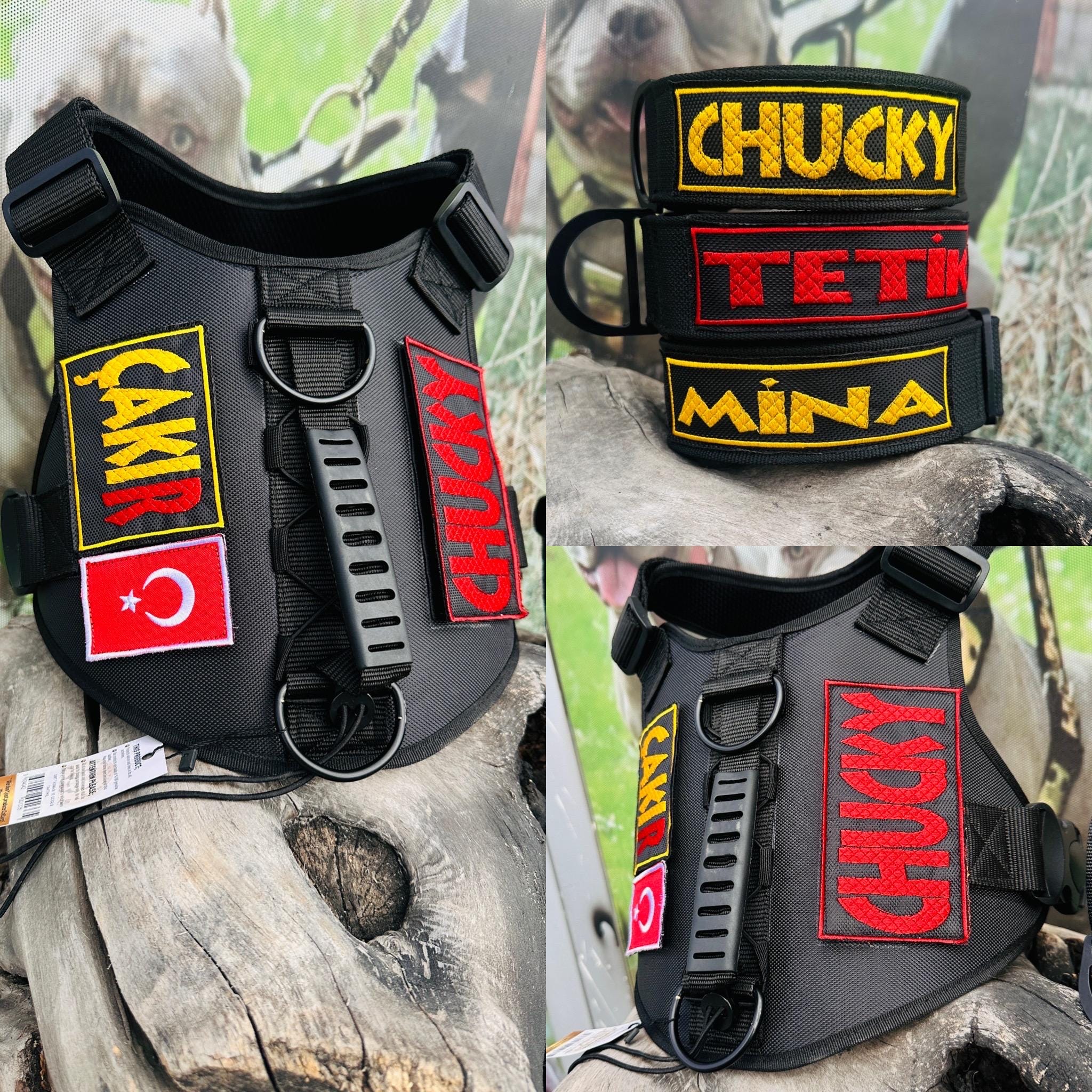 Custom Embroidered Tactical Dog Harness Set: Heavy Duty Nylon, Leash Included