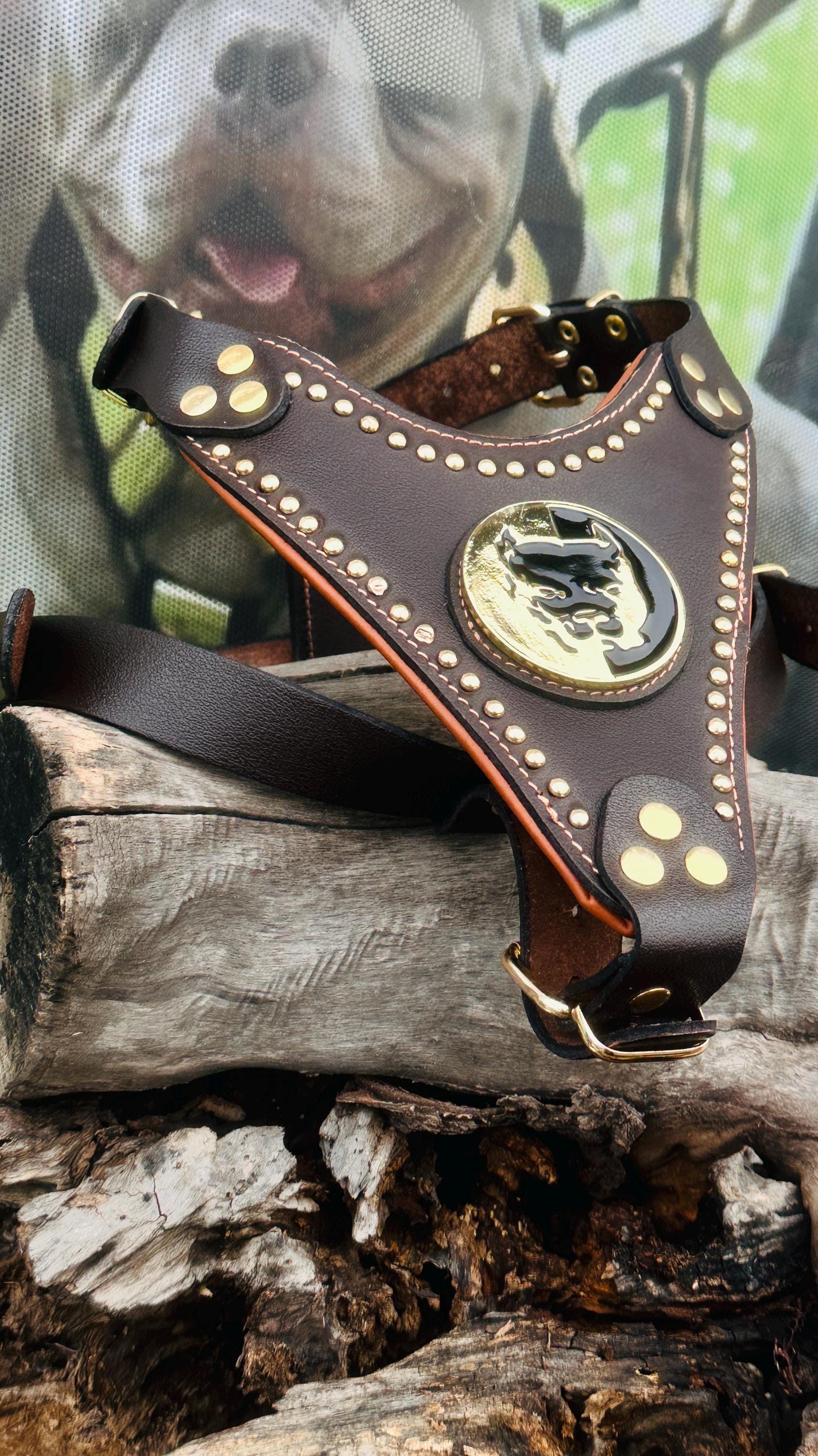 Handmade Buffalo Leather Dog Harness: Brass Studs & Pitbull Medallion