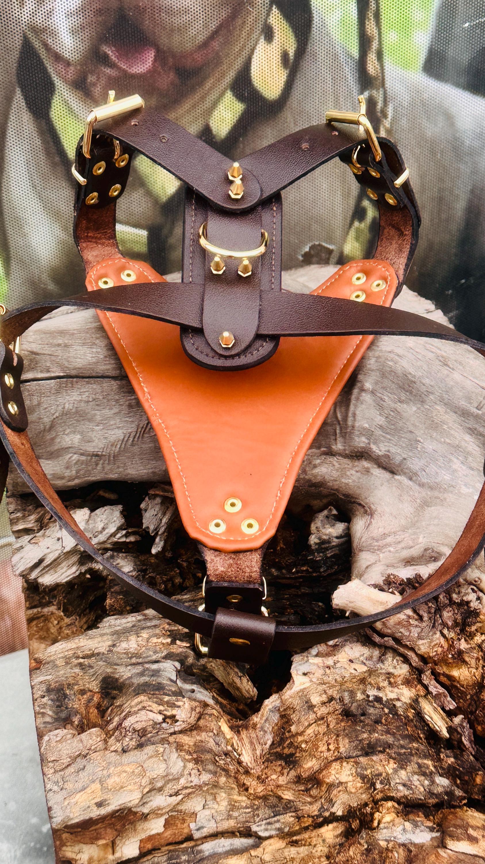 Handmade Buffalo Leather Dog Harness: Brass Studs & Pitbull Medallion