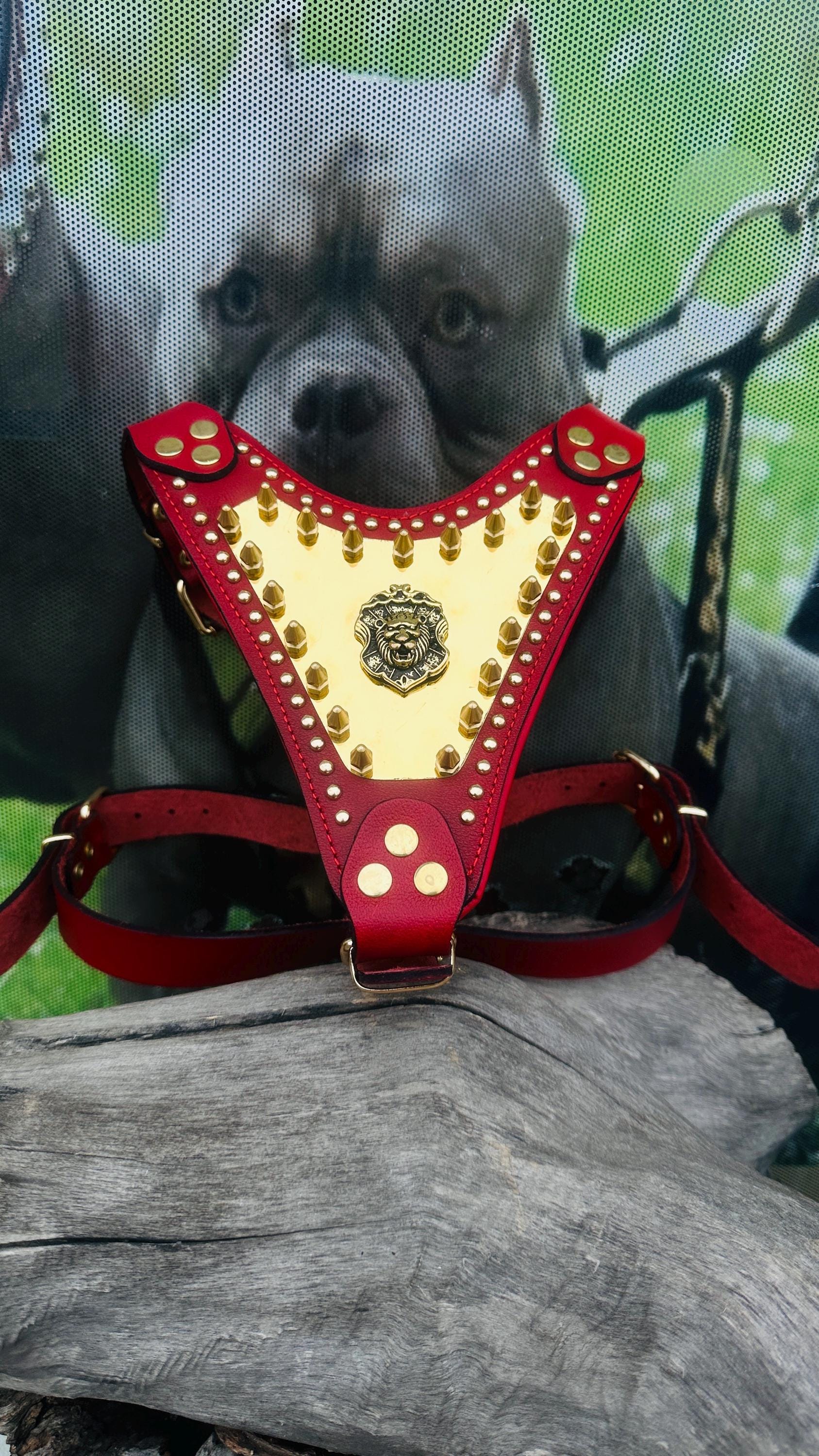 Handmade Buffalo Leather Dog Harness: Gold Hardware, Lion Emblem