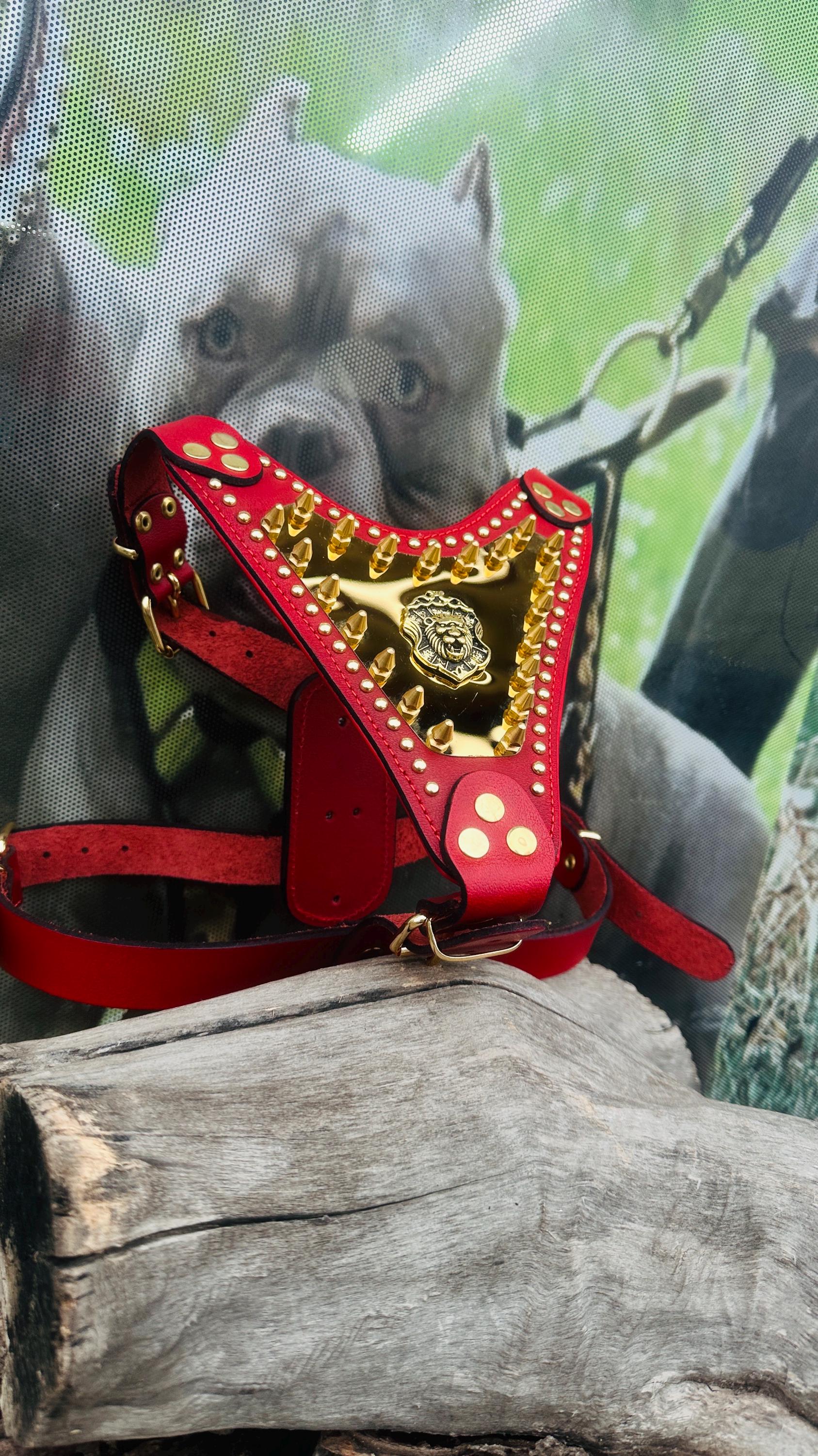 Handmade Buffalo Leather Dog Harness: Gold Hardware, Lion Emblem