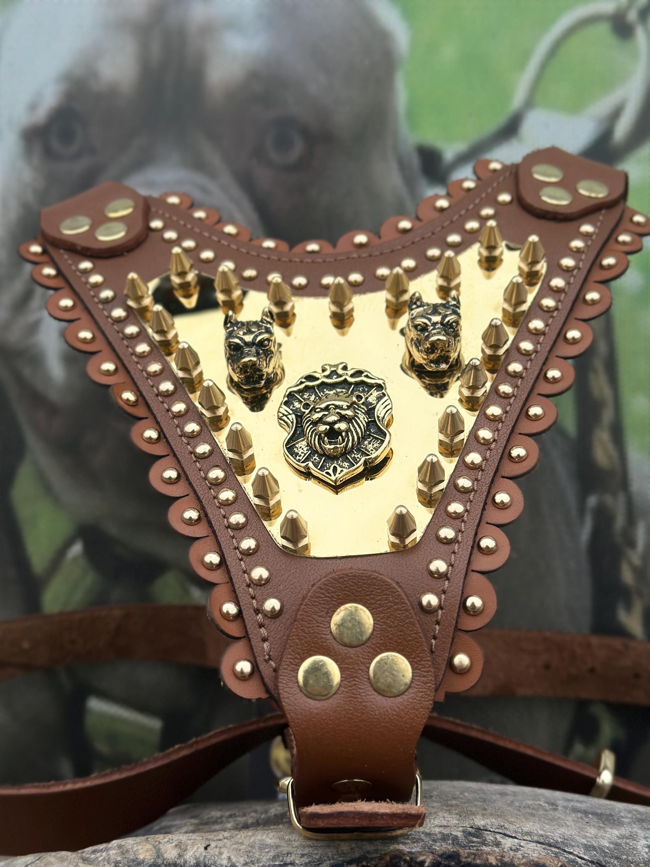 Gold Lion Leather Dog Harness