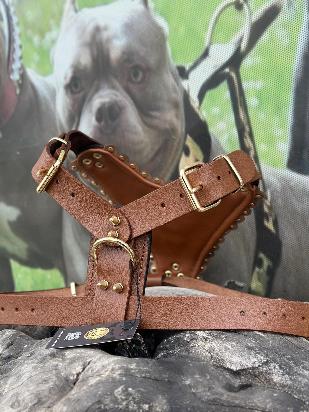 Gold Lion Leather Dog Harness