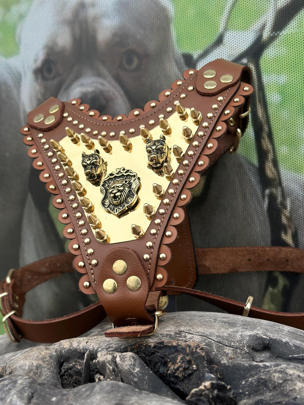 Gold Lion Leather Dog Harness