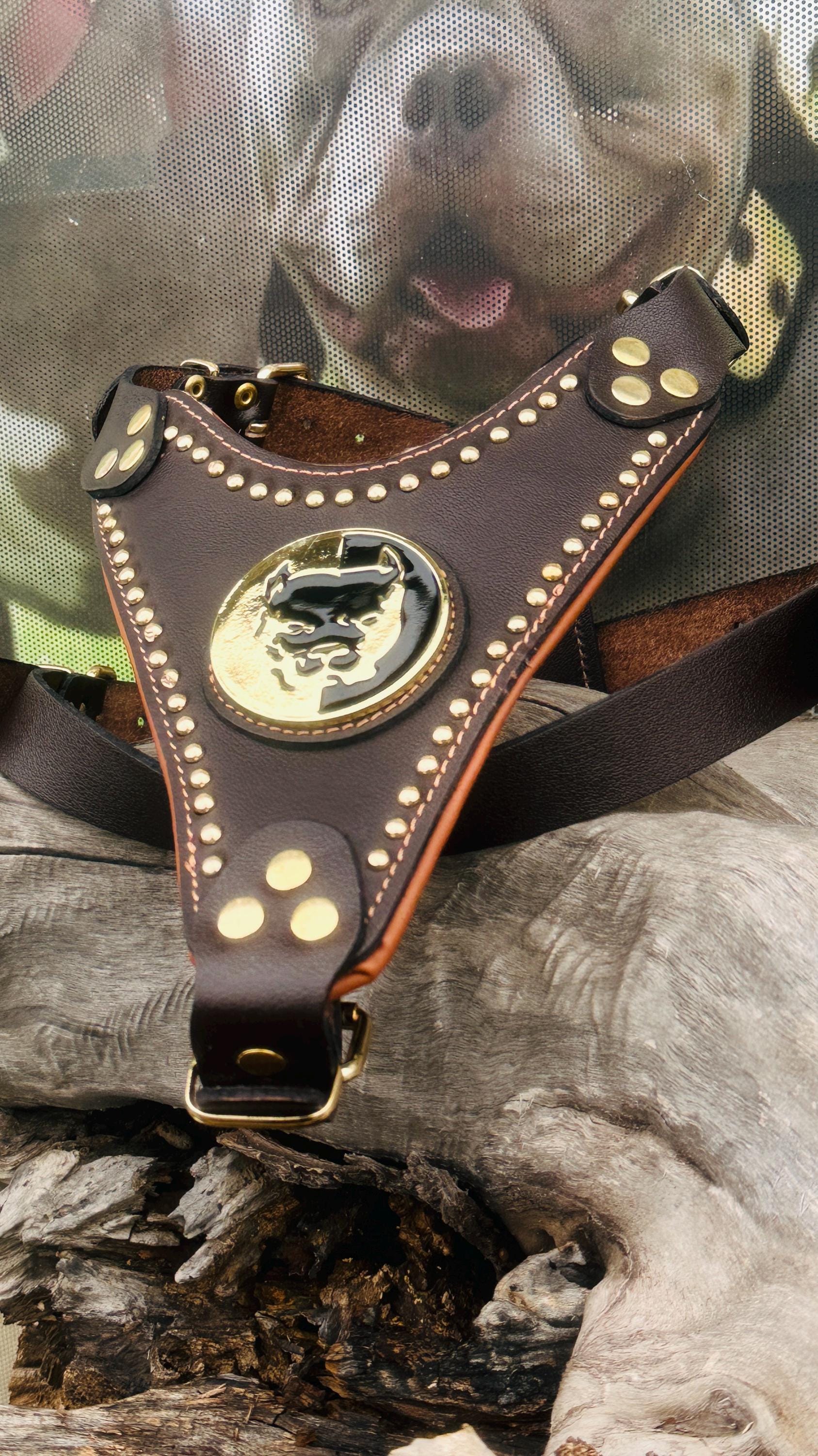Handmade Buffalo Leather Dog Harness: Brass Studs & Pitbull Medallion
