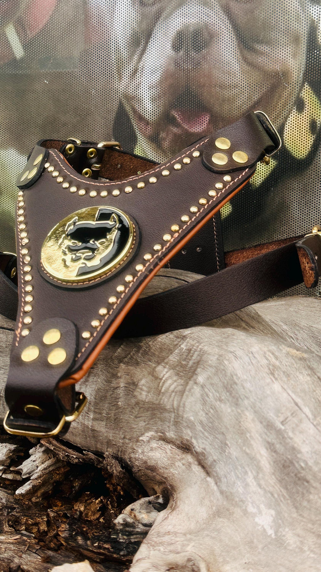 Handmade Buffalo Leather Dog Harness: Brass Studs & Pitbull Medallion