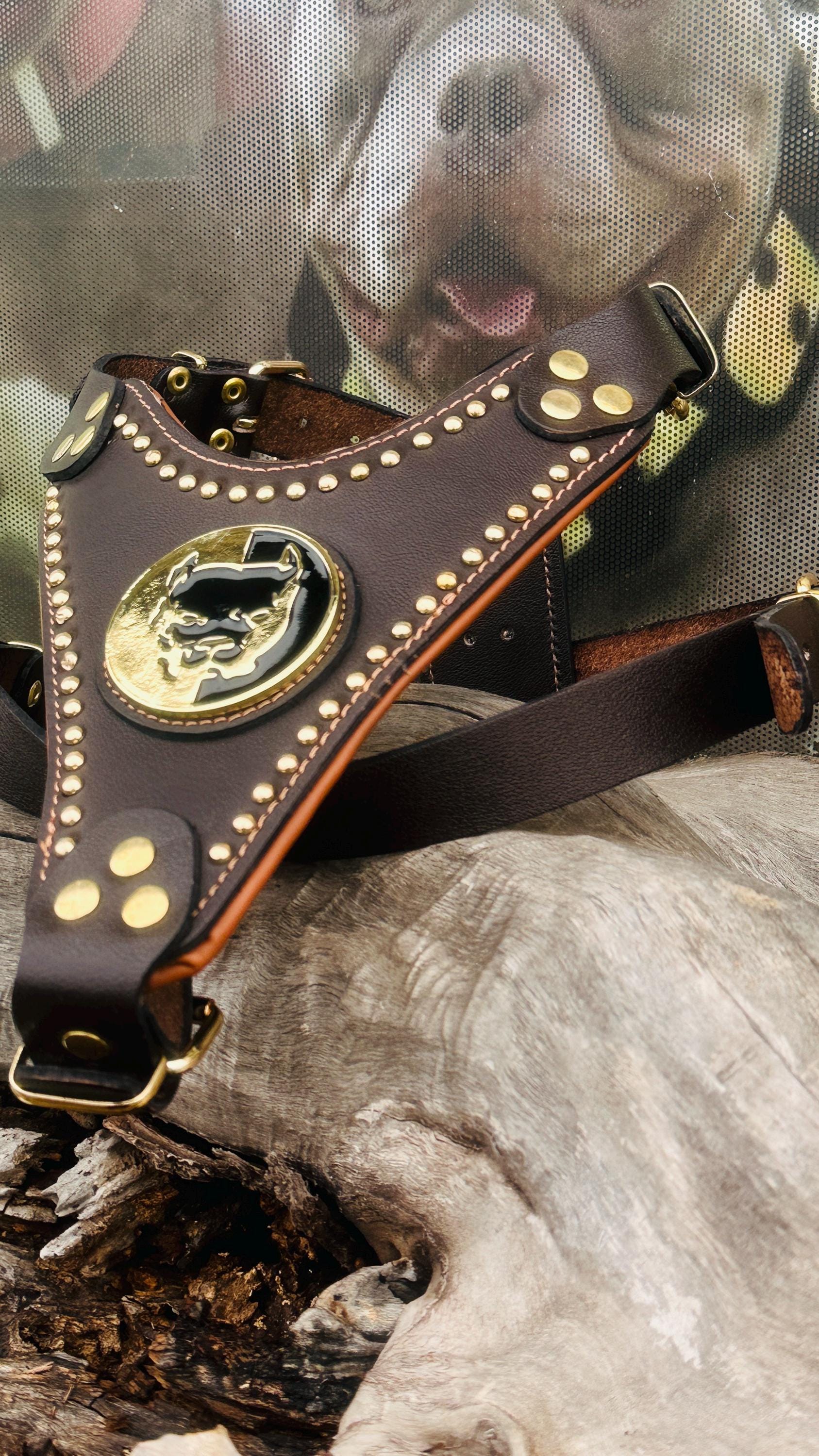 Handmade Buffalo Leather Dog Harness: Brass Studs & Pitbull Medallion