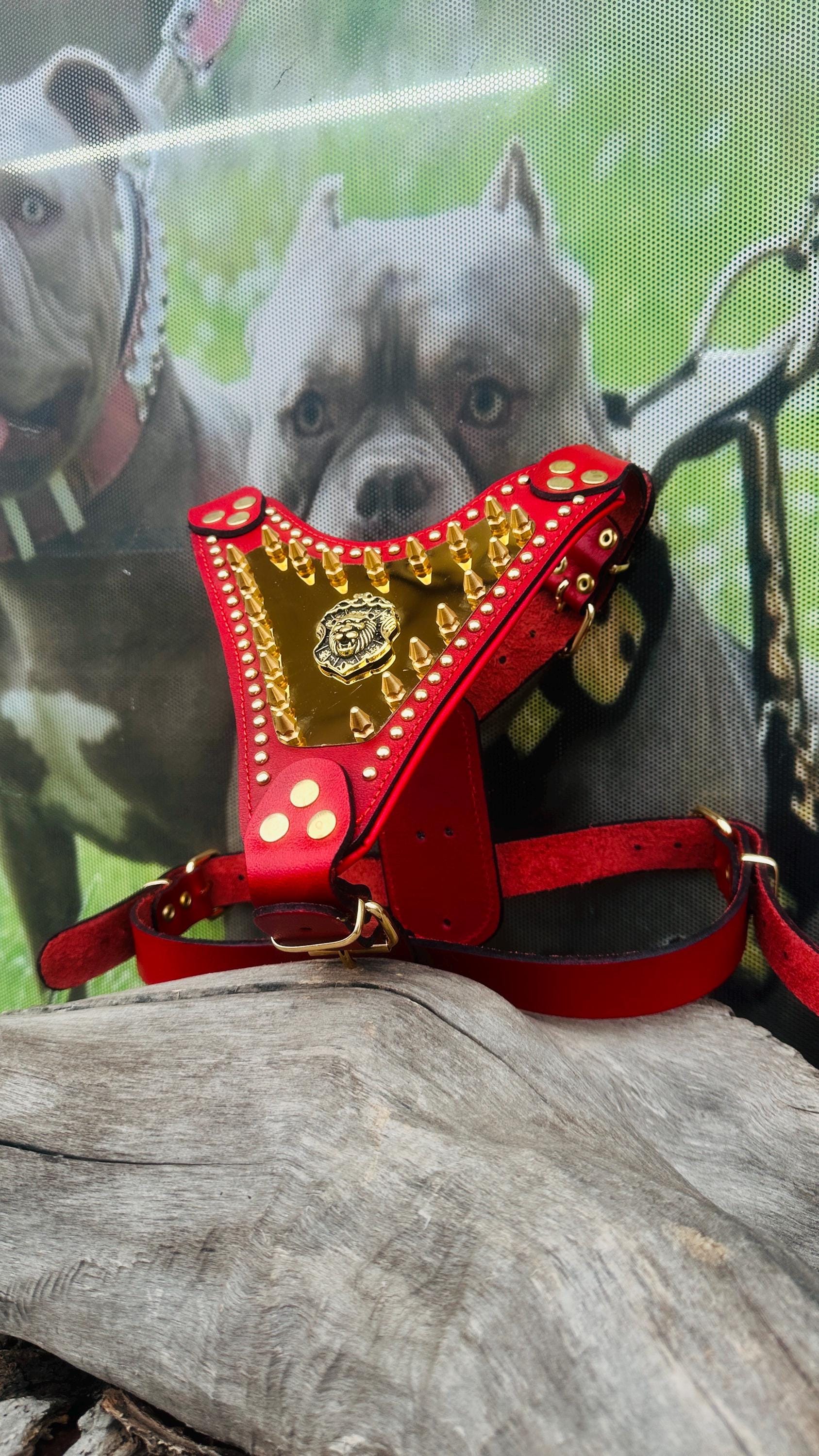 Handmade Buffalo Leather Dog Harness: Gold Hardware, Lion Emblem