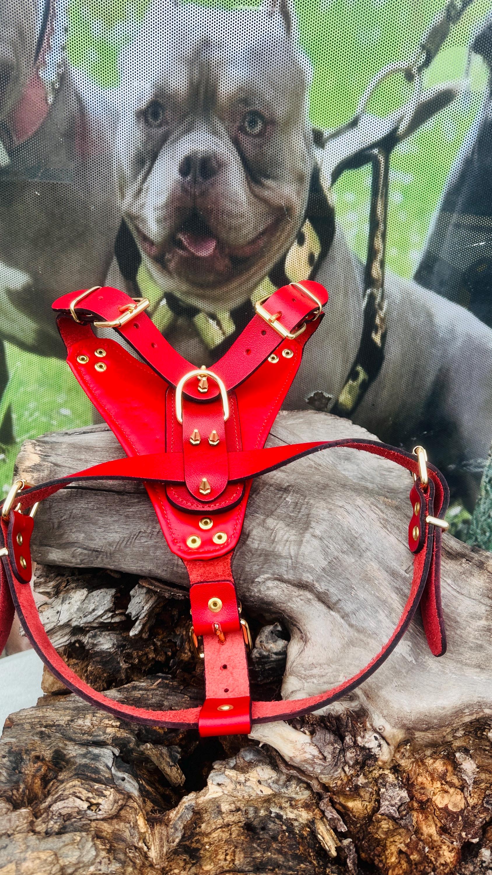 Handmade Buffalo Leather Dog Harness: Gold Hardware, Lion Emblem