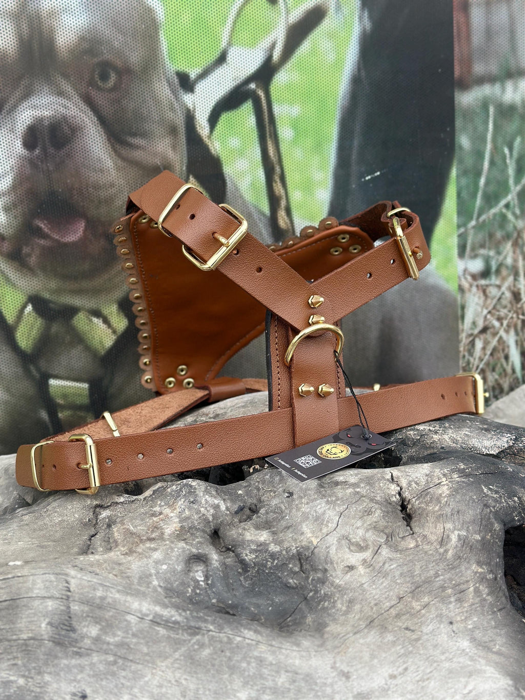 Gold Lion Leather Dog Harness