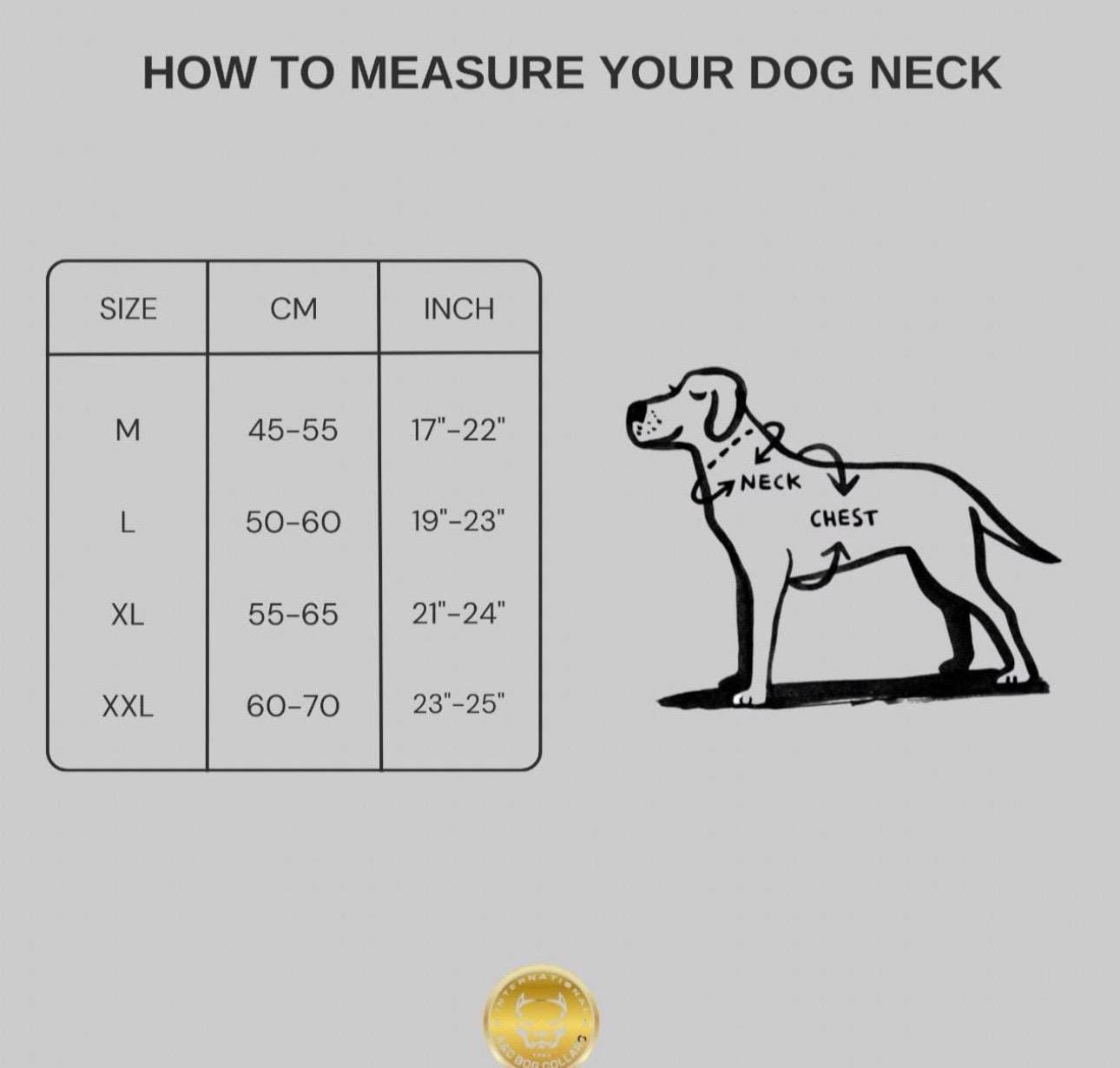 Gold Lion Leather Dog Harness