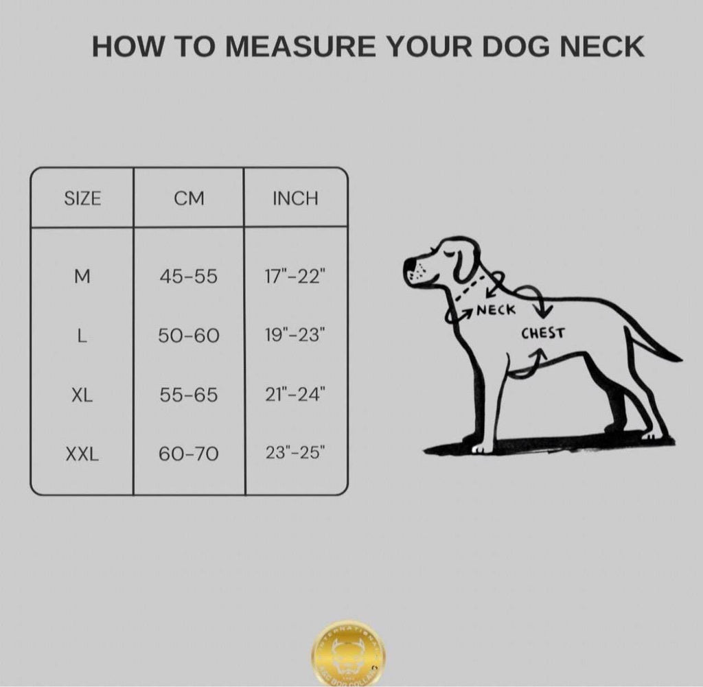 8cm 3.15’’ Wide Handmade Bullet Dog Collar – Real Buffalo Leather Gun Design Collar for Cane Corso, Rottweiler, Kangal & Large Breeds