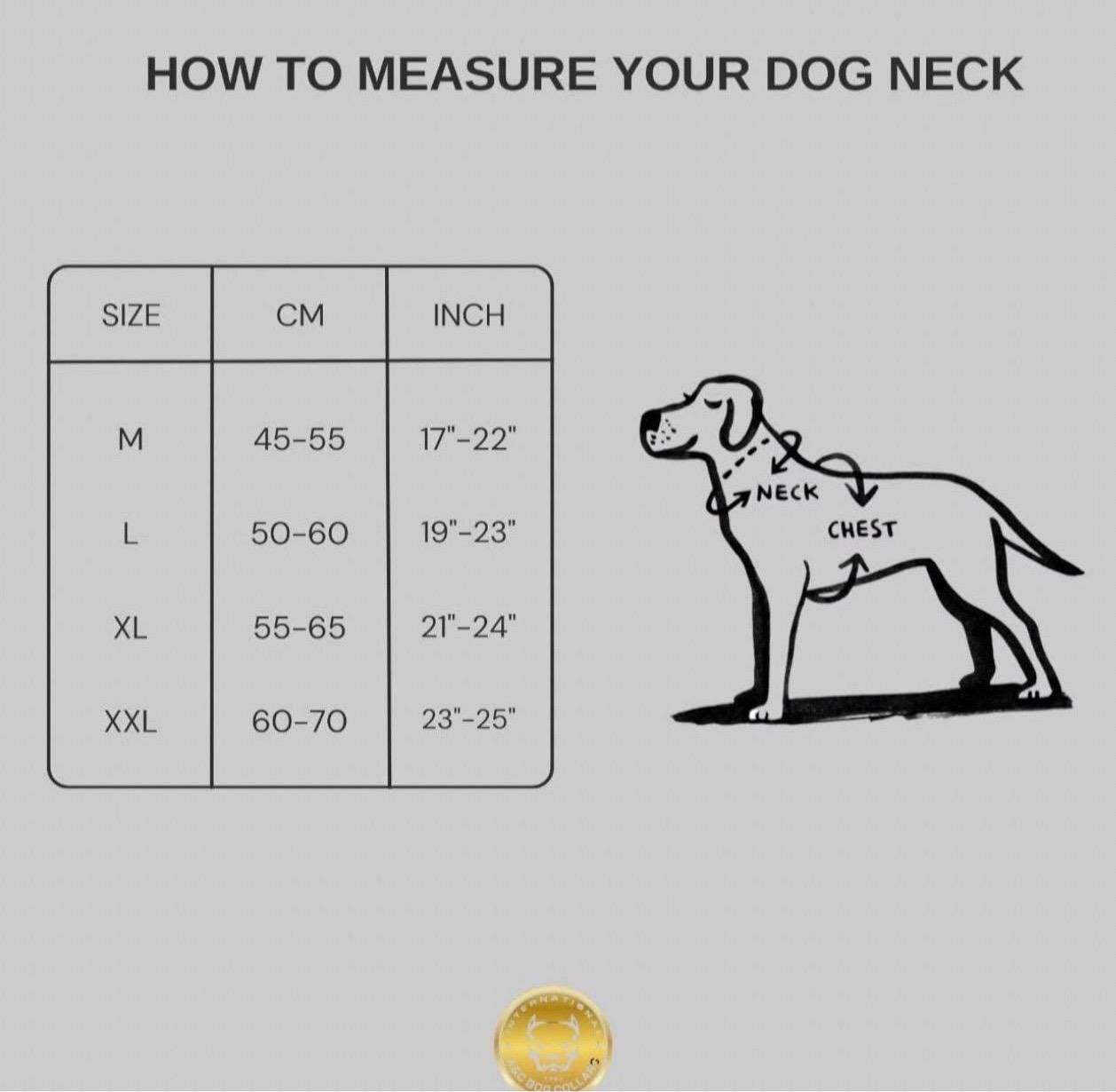 8cm 3.15’’ Wide Handmade Bullet Dog Collar – Real Buffalo Leather Gun Design Collar for Cane Corso, Rottweiler, Kangal & Large Breeds