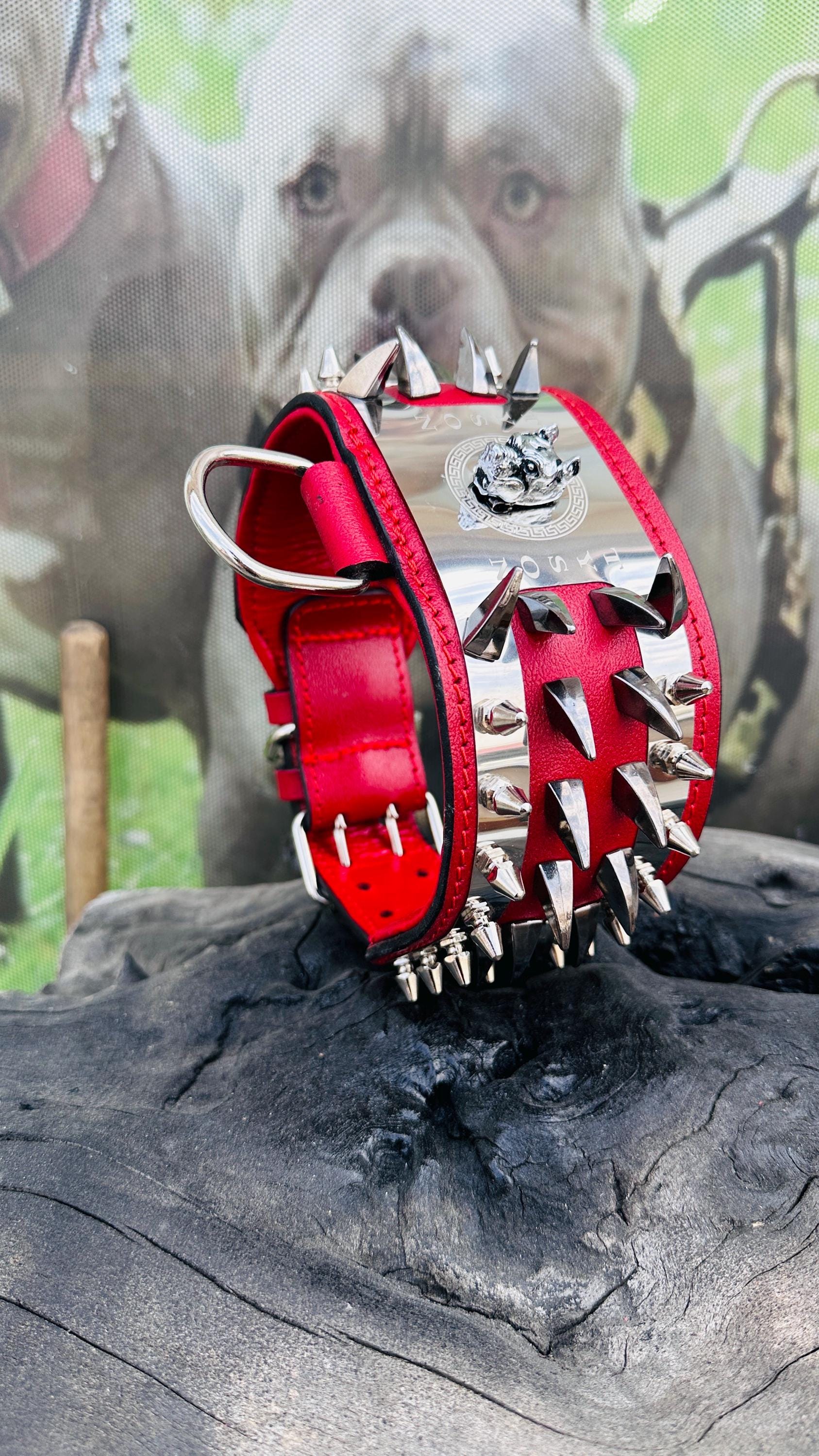 Custom Spiked Leather Dog Collar: Steel Plate, Bully Head Design