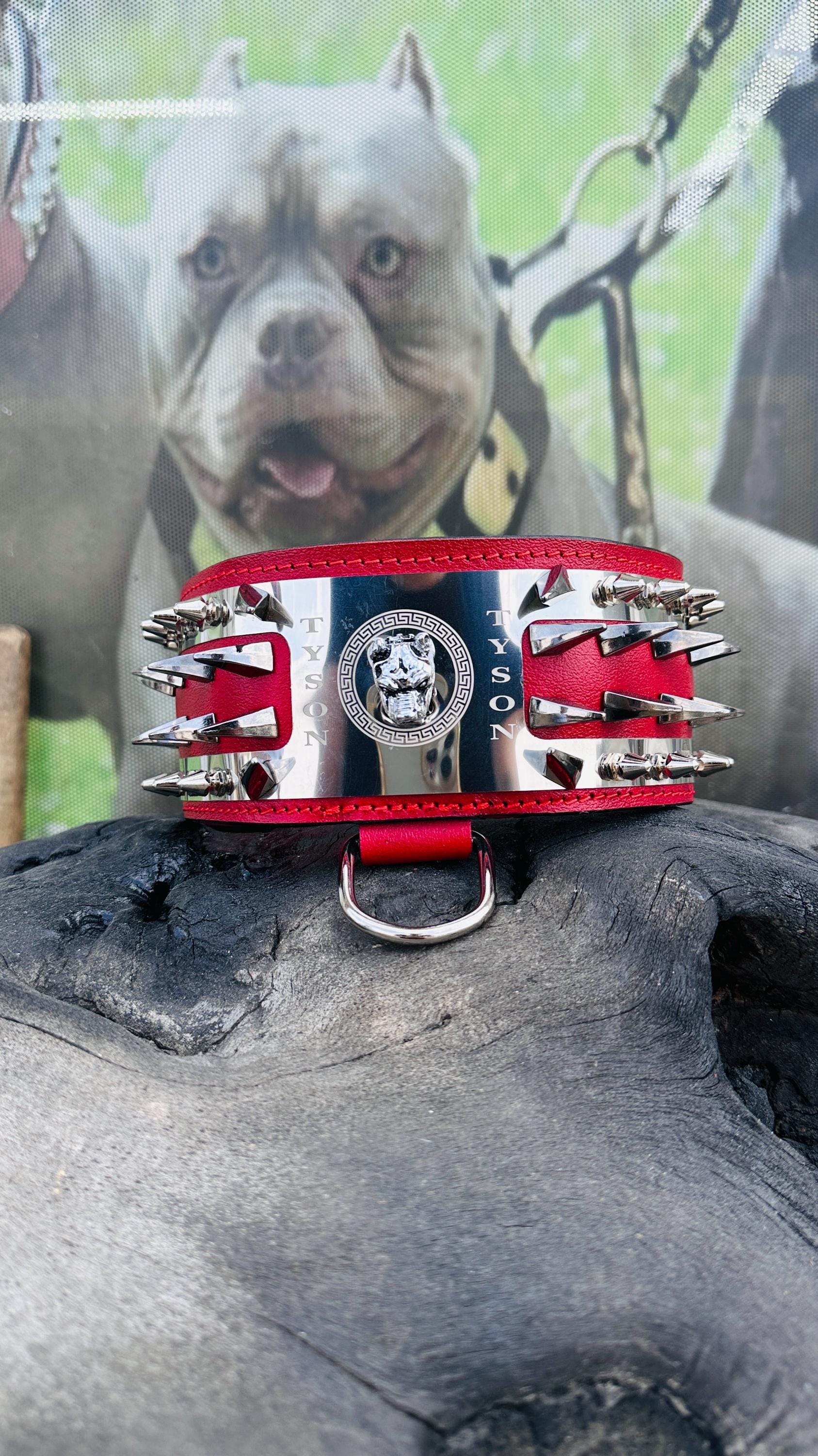 Custom Spiked Leather Dog Collar: Steel Plate, Bully Head Design