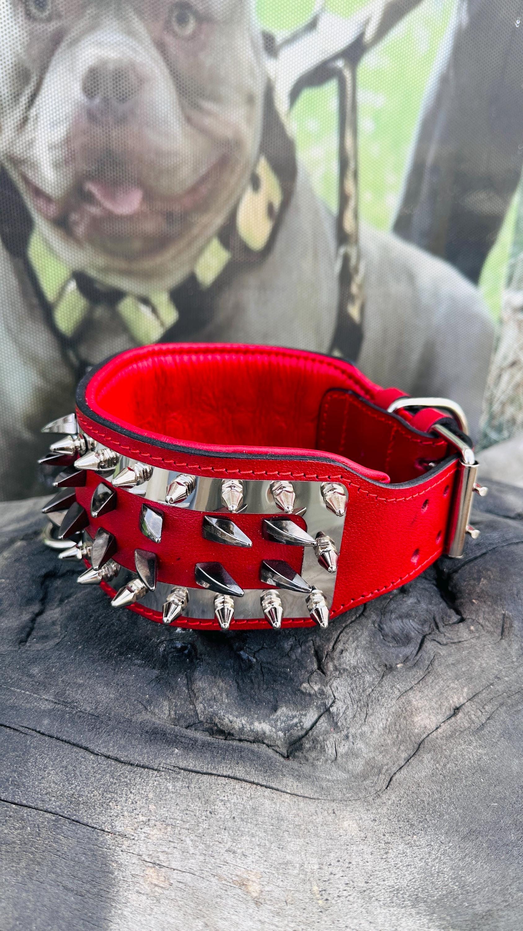 Custom Spiked Leather Dog Collar: Steel Plate, Bully Head Design