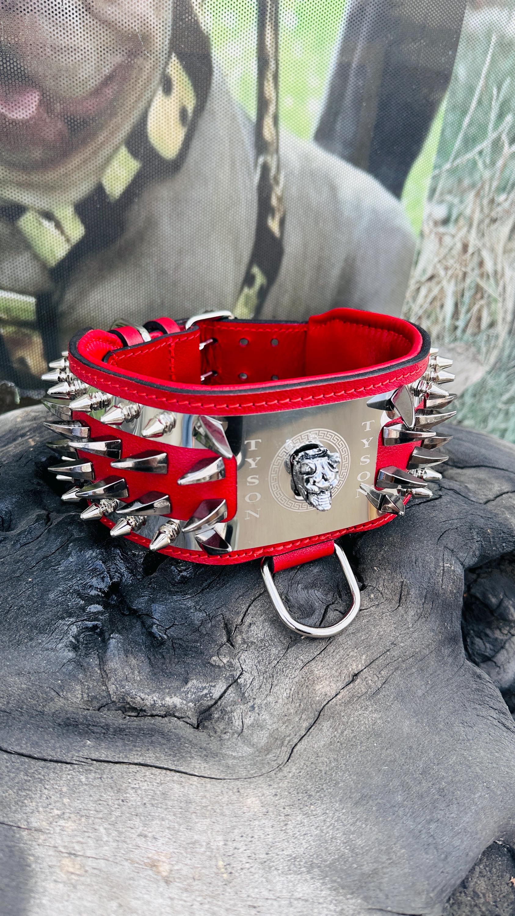 Custom Spiked Leather Dog Collar: Steel Plate, Bully Head Design