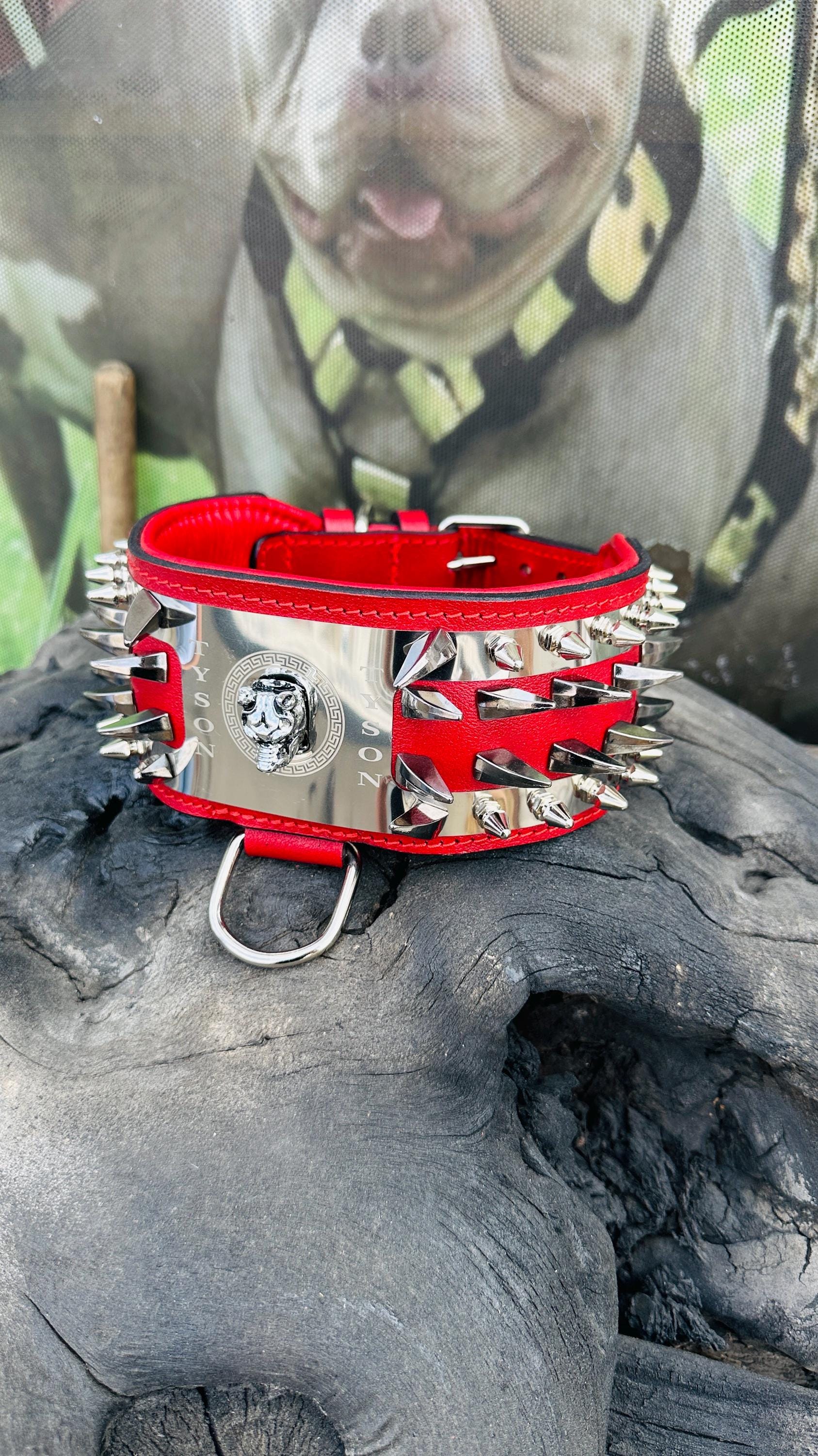 Custom Spiked Leather Dog Collar: Steel Plate, Bully Head Design