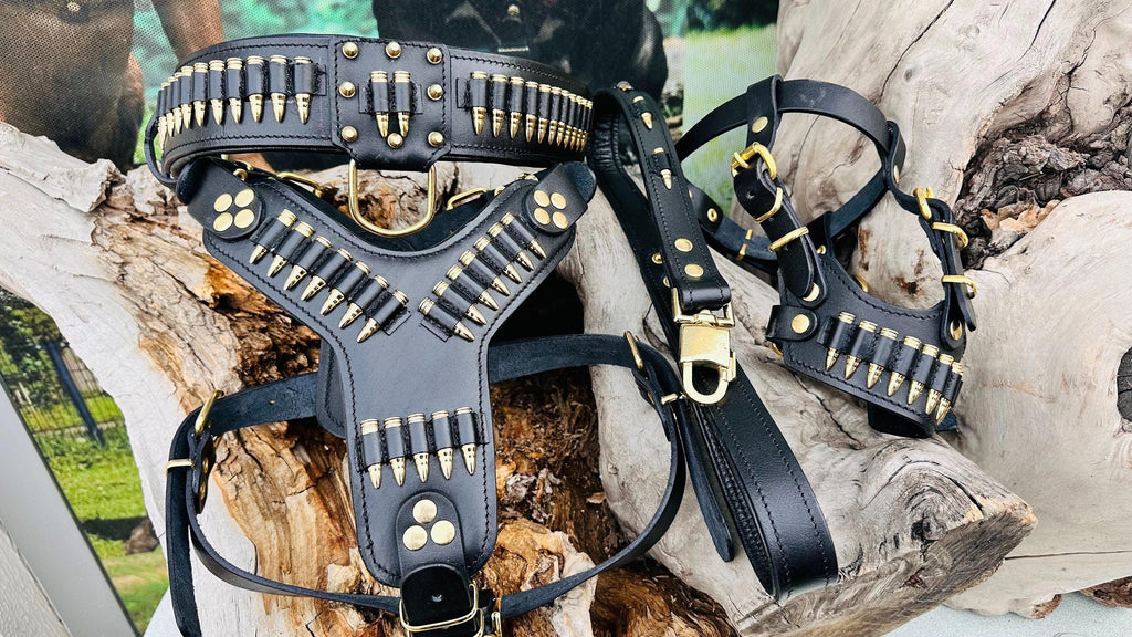 Handmade Buffalo Leather Dog Collar Set: Engraved Nameplate, Large Breeds