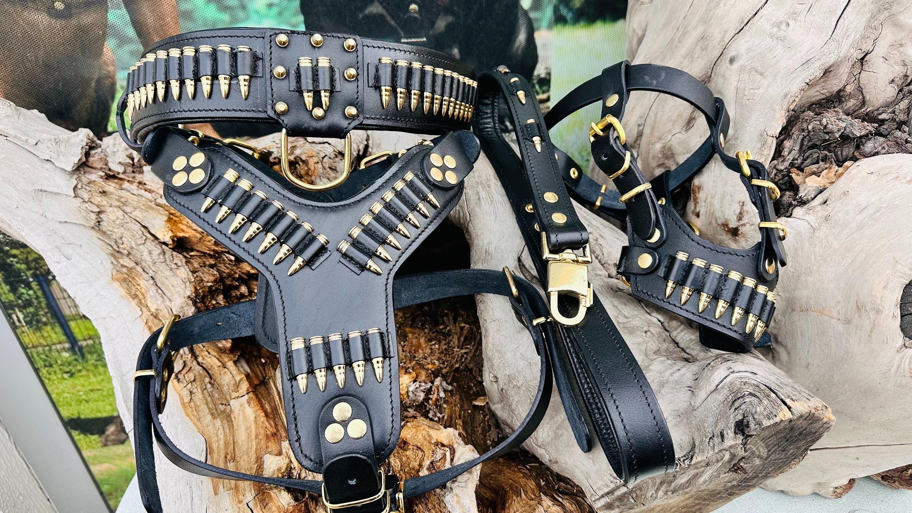 Handmade Buffalo Leather Dog Collar Set: Engraved Nameplate, Large Breeds